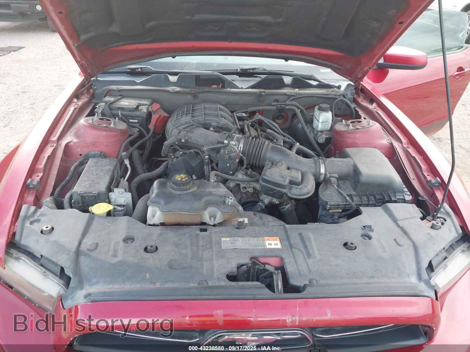 2013 FORD MUSTANG - VIN: 1ZVBP8AM5D5277947 - Фото 10