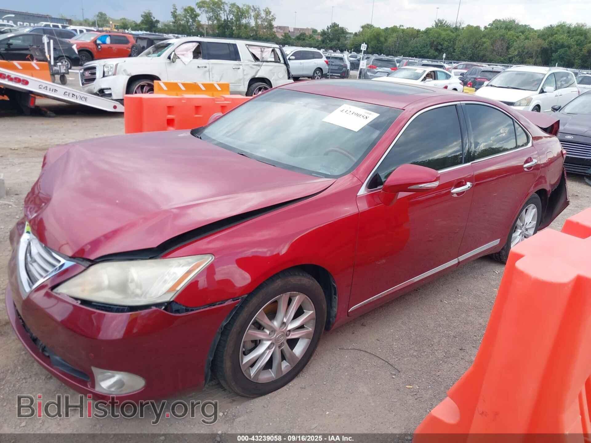 2010 LEXUS ES 350 - VIN: JTHBK1EG8A2344260 - Фото 2