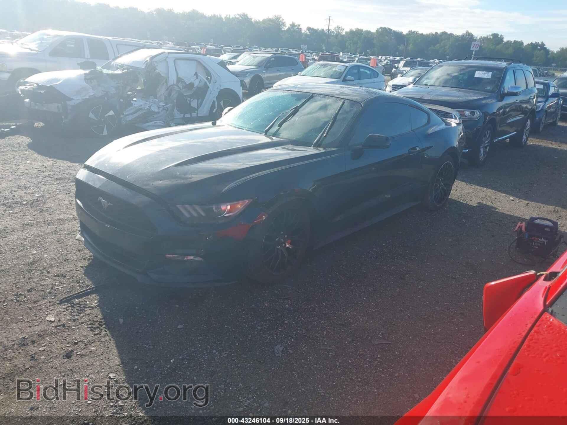 2017 FORD MUSTANG - VIN: 1FA6P8TH6H5281800 - Фото 2