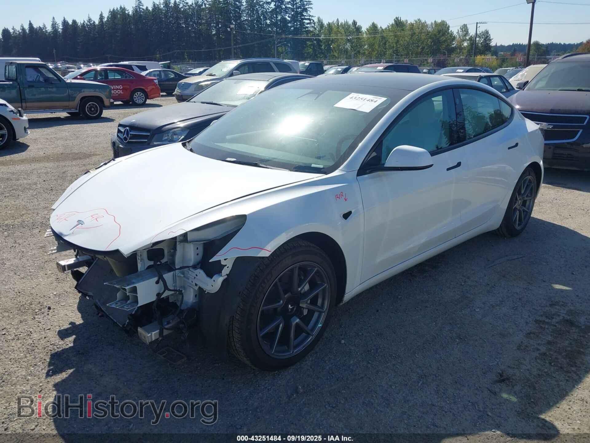 2021 TESLA MODEL 3 - VIN: 5YJ3E1EA5MF098021 - Photo 2