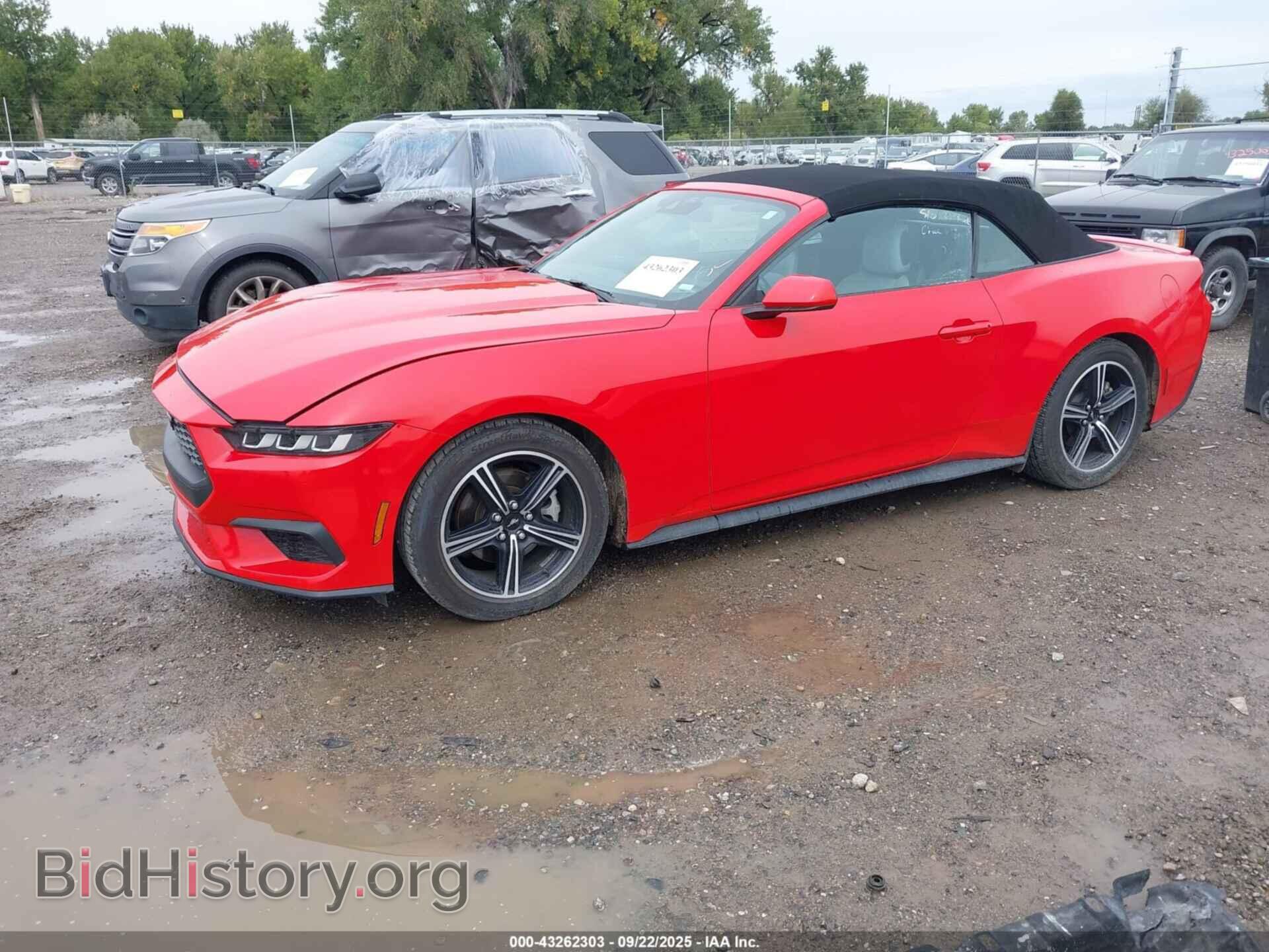 2024 FORD MUSTANG - VIN: 1FAGP8UHXR5117020 - Фото 2
