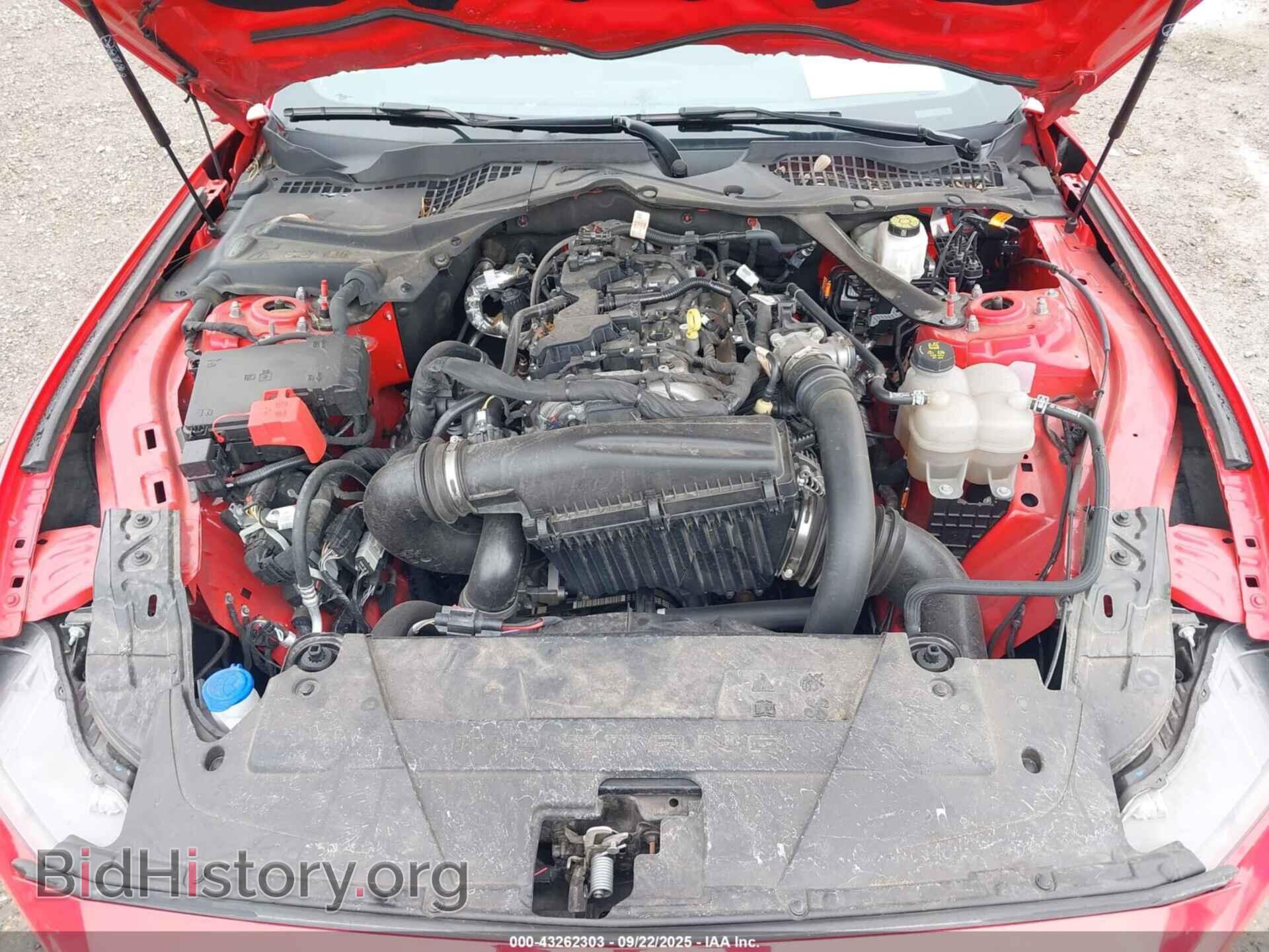 2024 FORD MUSTANG - VIN: 1FAGP8UHXR5117020 - Фото 10