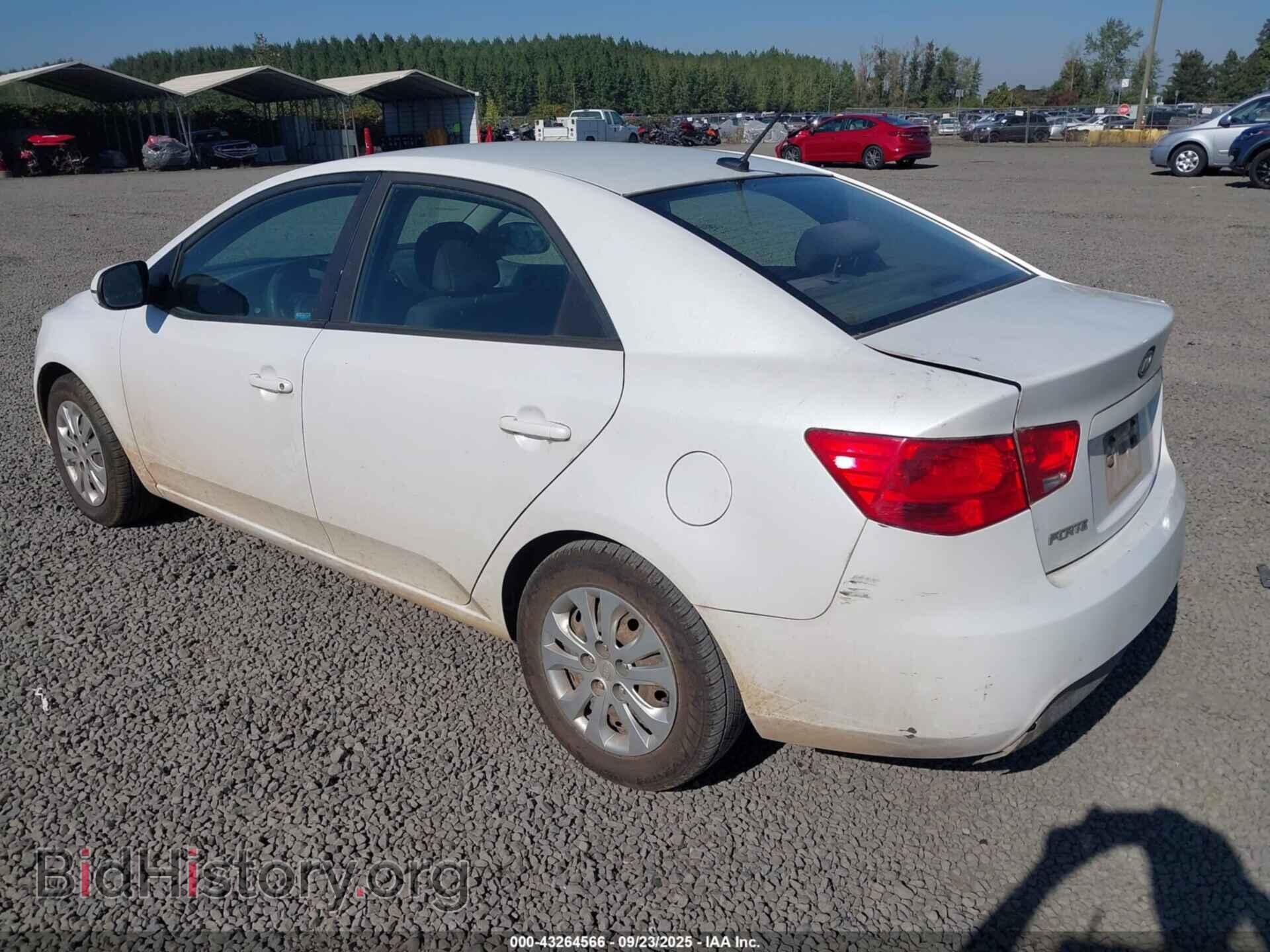 2012 KIA FORTE - VIN: KNAFU4A2XC5633650 - Фото 3