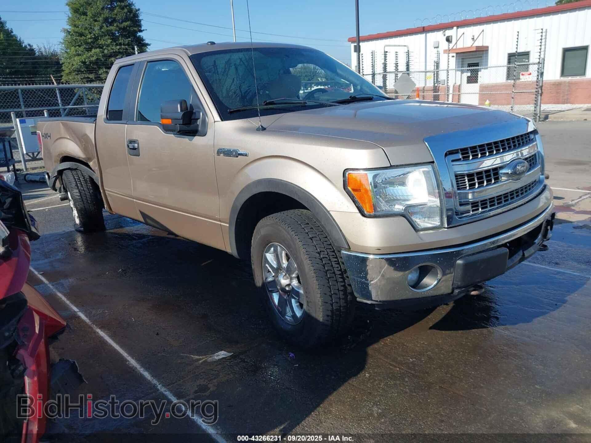 Фотография 1FTFX1EF5DFC68263 - FORD F-150 2013
