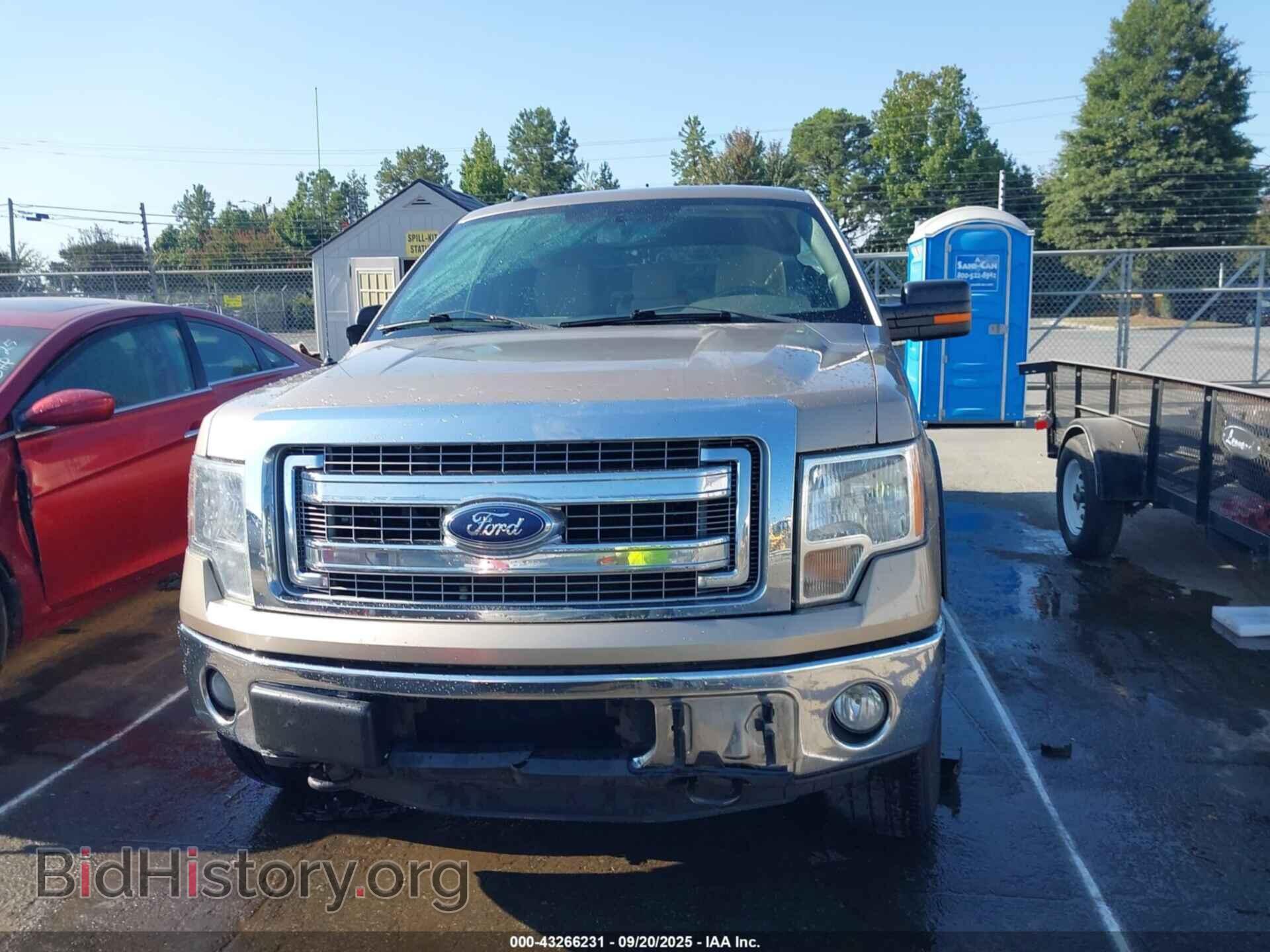 2013 FORD F-150 - VIN: 1FTFX1EF5DFC68263 - Фото 12