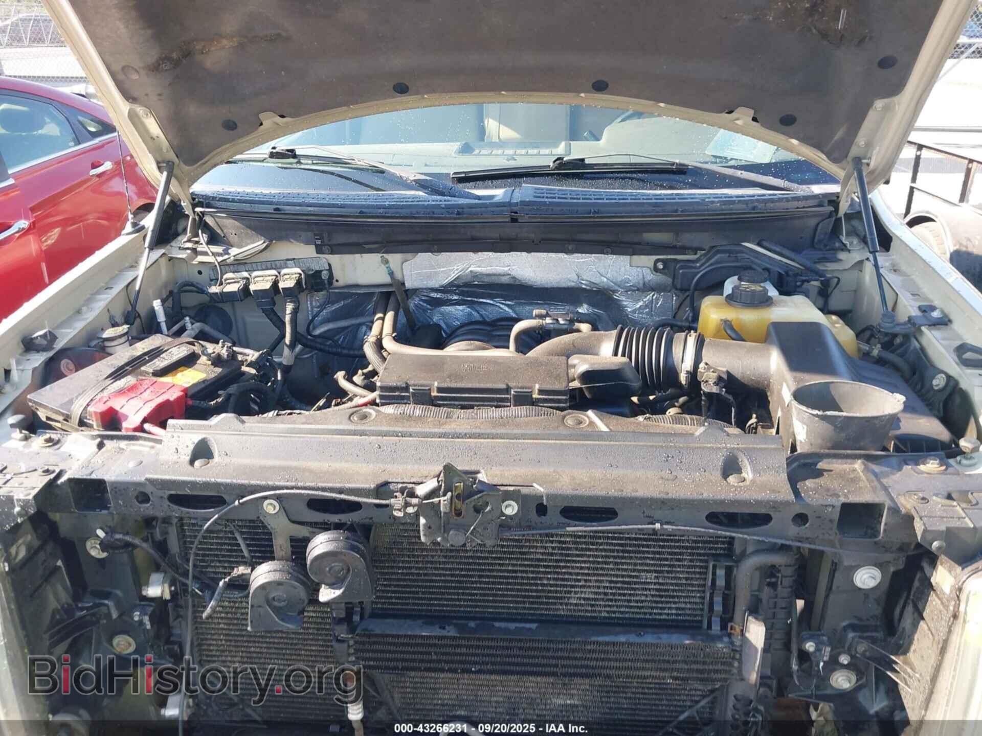 2013 FORD F-150 - VIN: 1FTFX1EF5DFC68263 - Фото 10