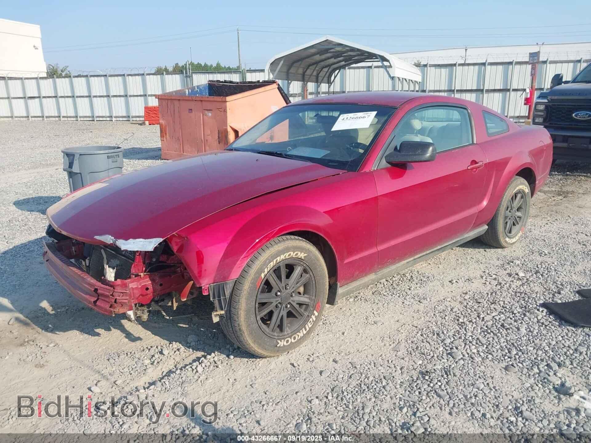 2006 FORD MUSTANG - VIN: 1ZVFT80NX65259213 - Фото 2