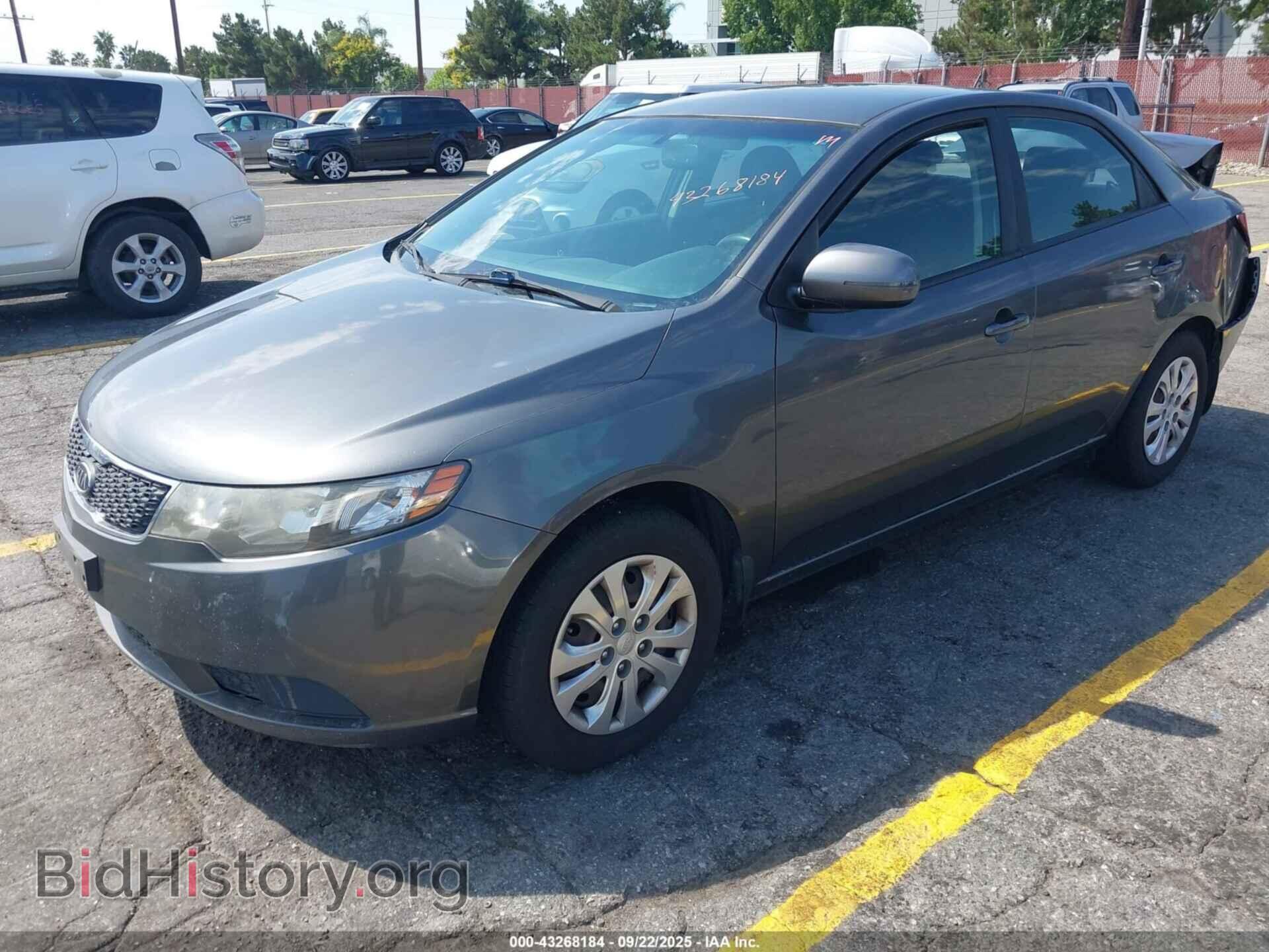 2013 KIA FORTE - VIN: KNAFU4A24D5686281 - Фото 2