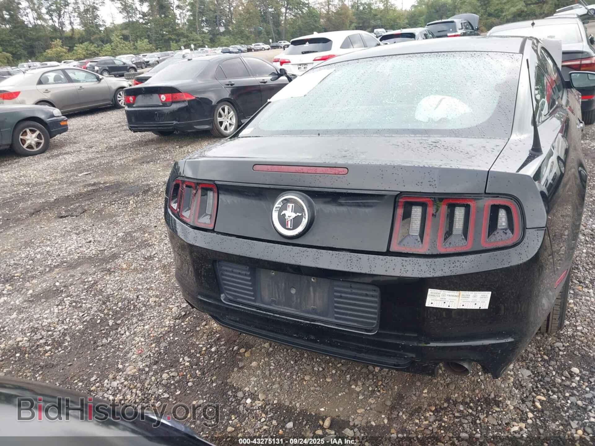 2014 FORD MUSTANG - VIN: 1ZVBP8AM3E5214234 - Фото 16