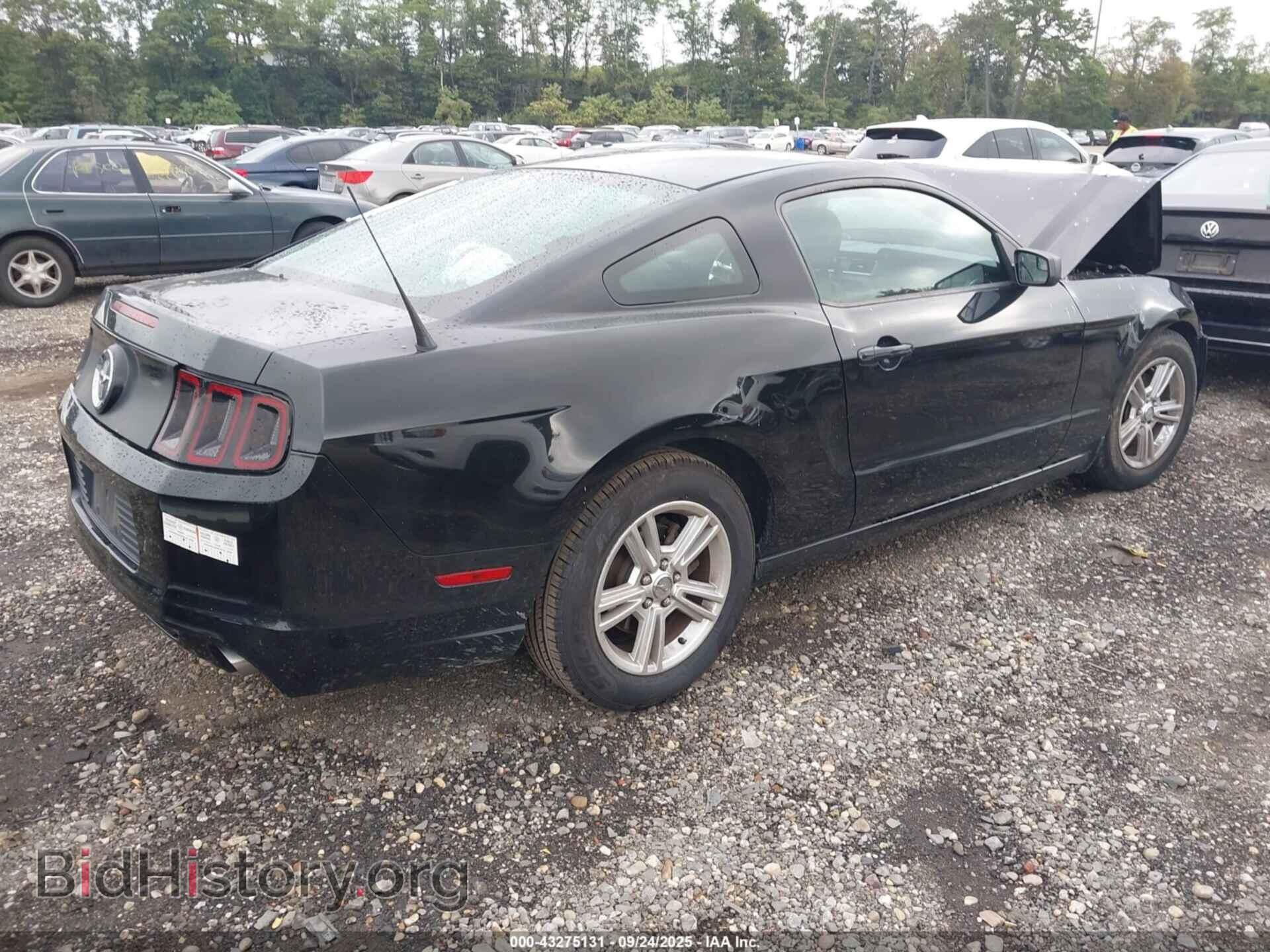 2014 FORD MUSTANG - VIN: 1ZVBP8AM3E5214234 - Фото 4