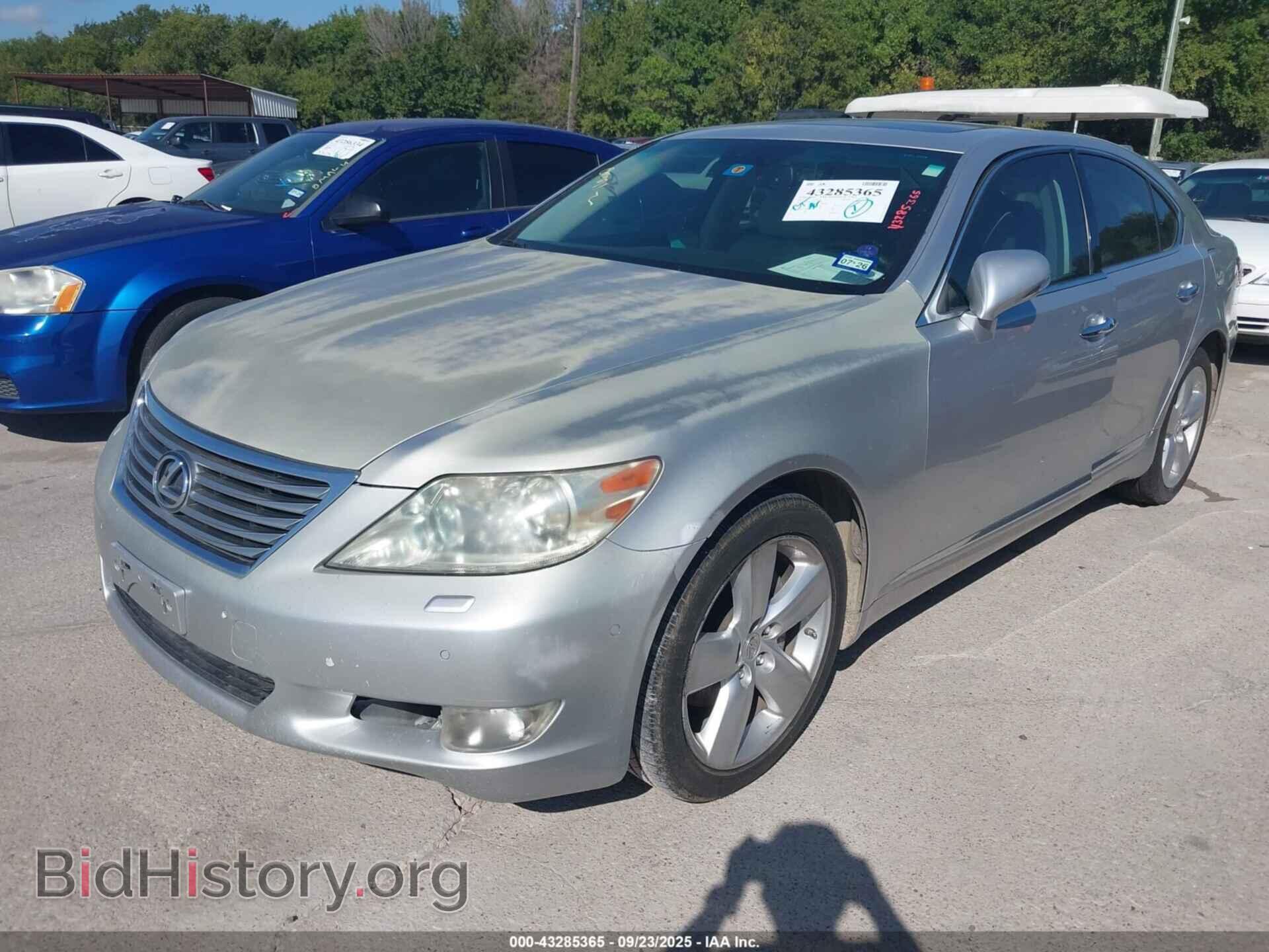 2011 LEXUS LS 460 - VIN: JTHBL5EFXB5105448 - Фото 2