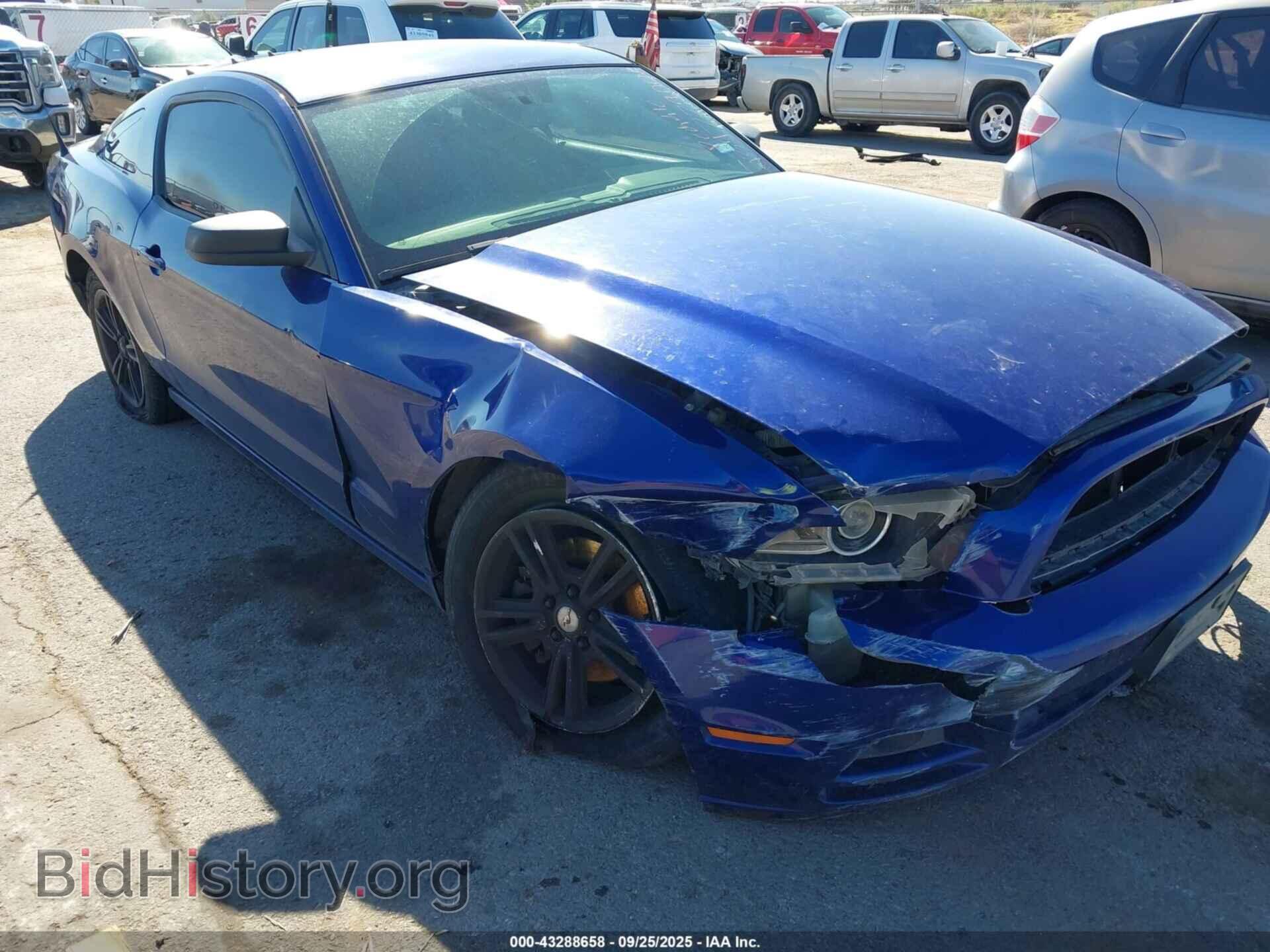 2013 FORD MUSTANG - VIN: 1ZVBP8AM9D5219081 - Фото 12