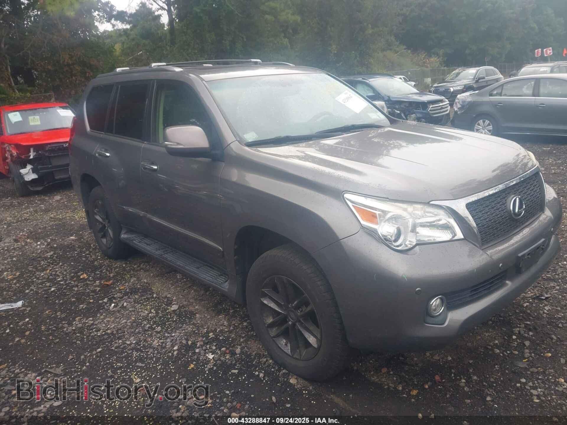 Фотография JTJBM7FX9D5062447 - LEXUS GX 460 2013