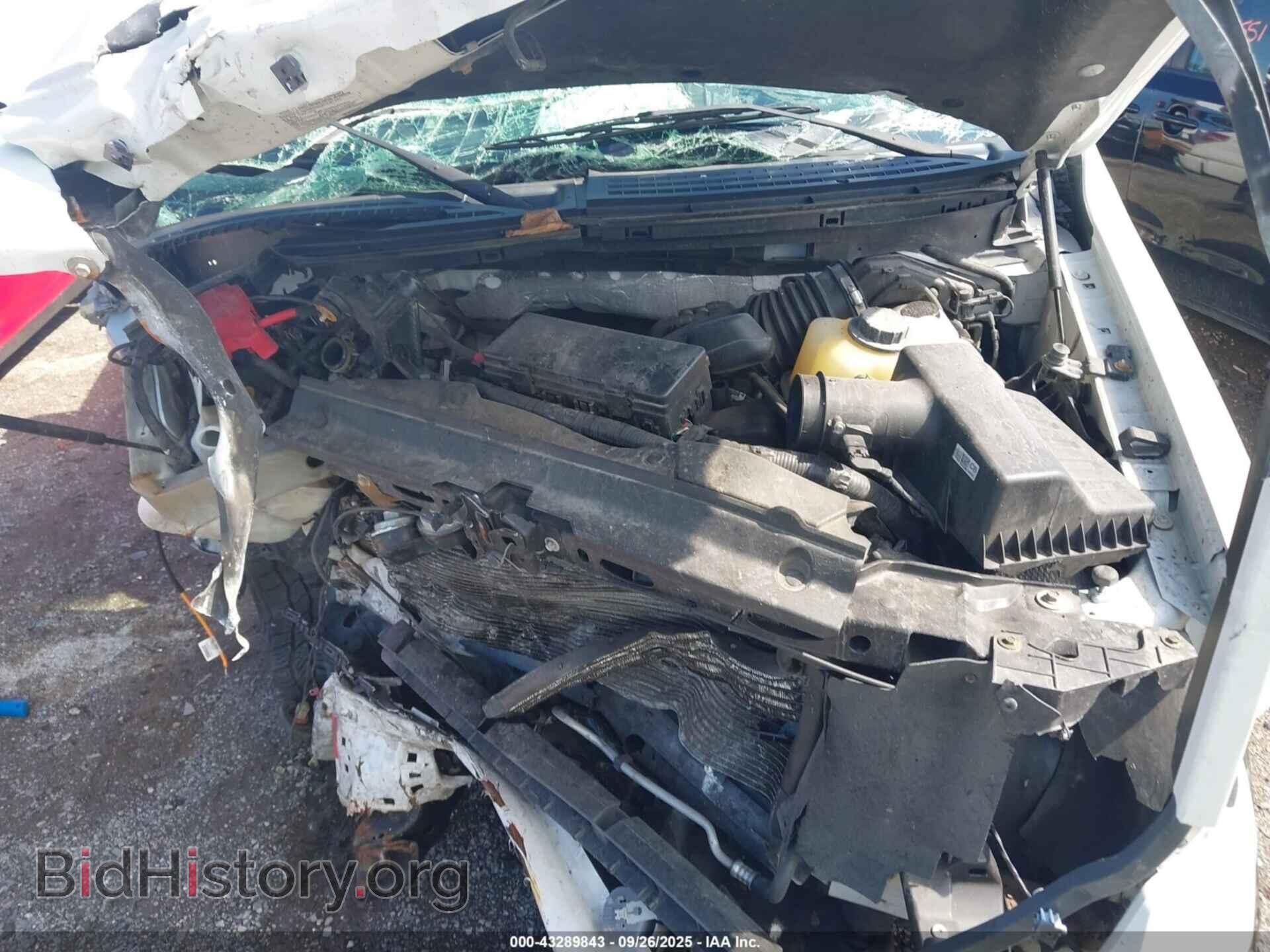 2013 FORD F-150 - VIN: 1FTFX1EF3DFD61461 - Фото 10