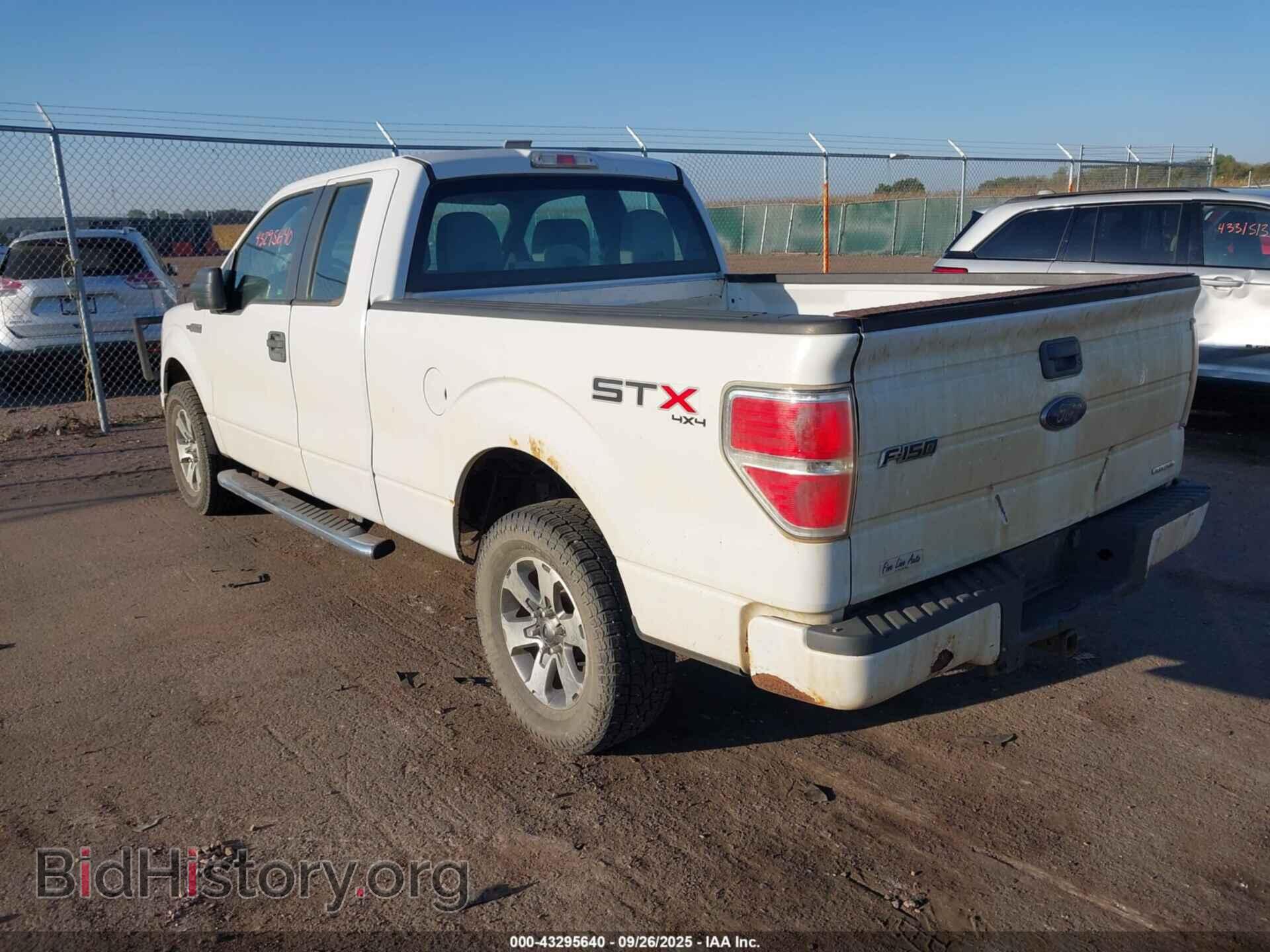 2013 FORD F-150 - VIN: 1FTFX1EF4DFB30763 - Фото 3