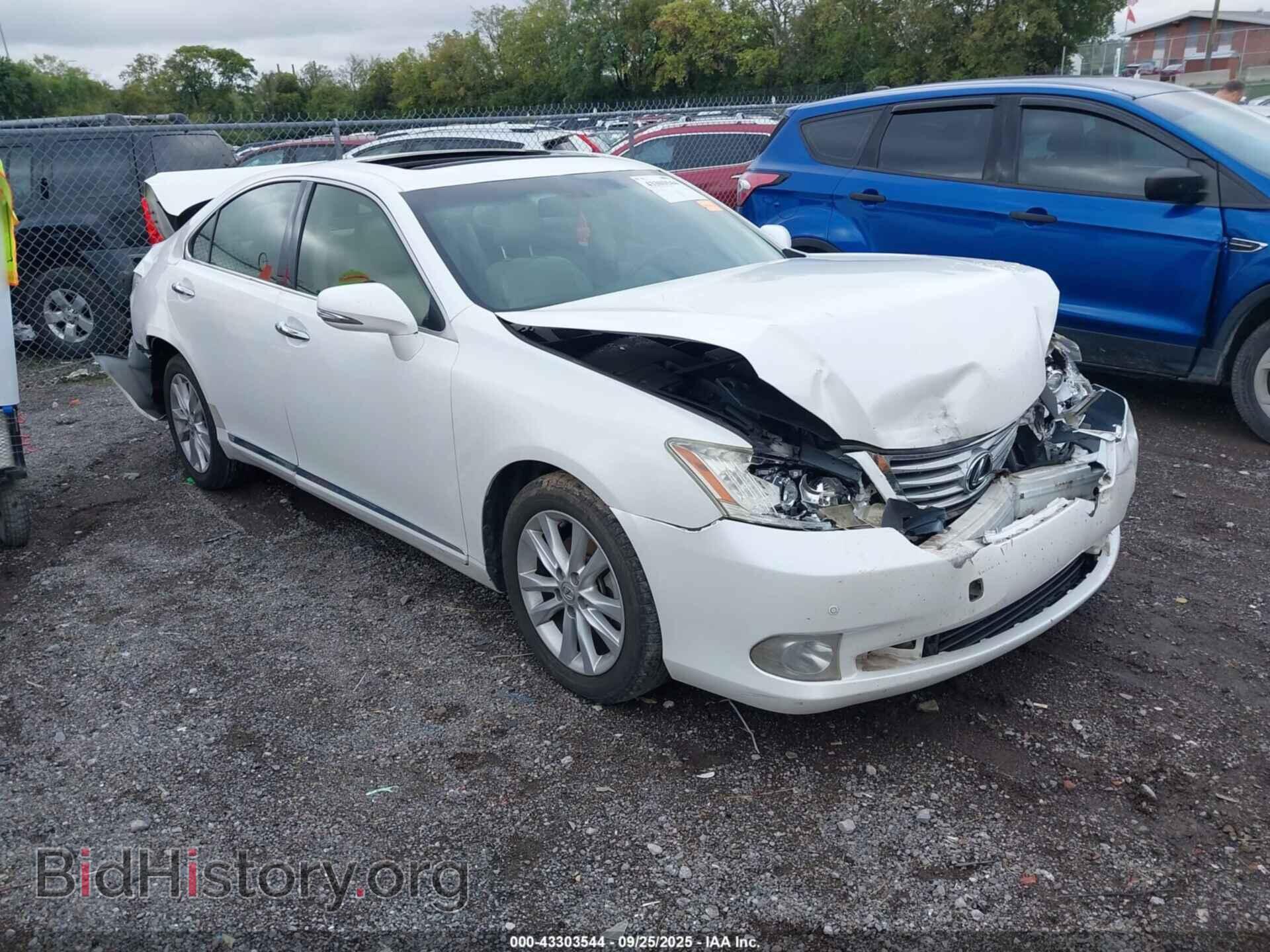 Фотография JTHBK1EG3C2511059 - LEXUS ES 350 2012