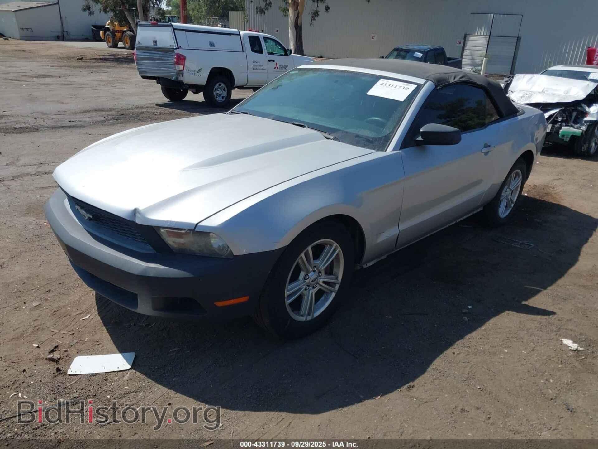 2012 FORD MUSTANG - VIN: 1ZVBP8EM0C5257257 - Фото 2