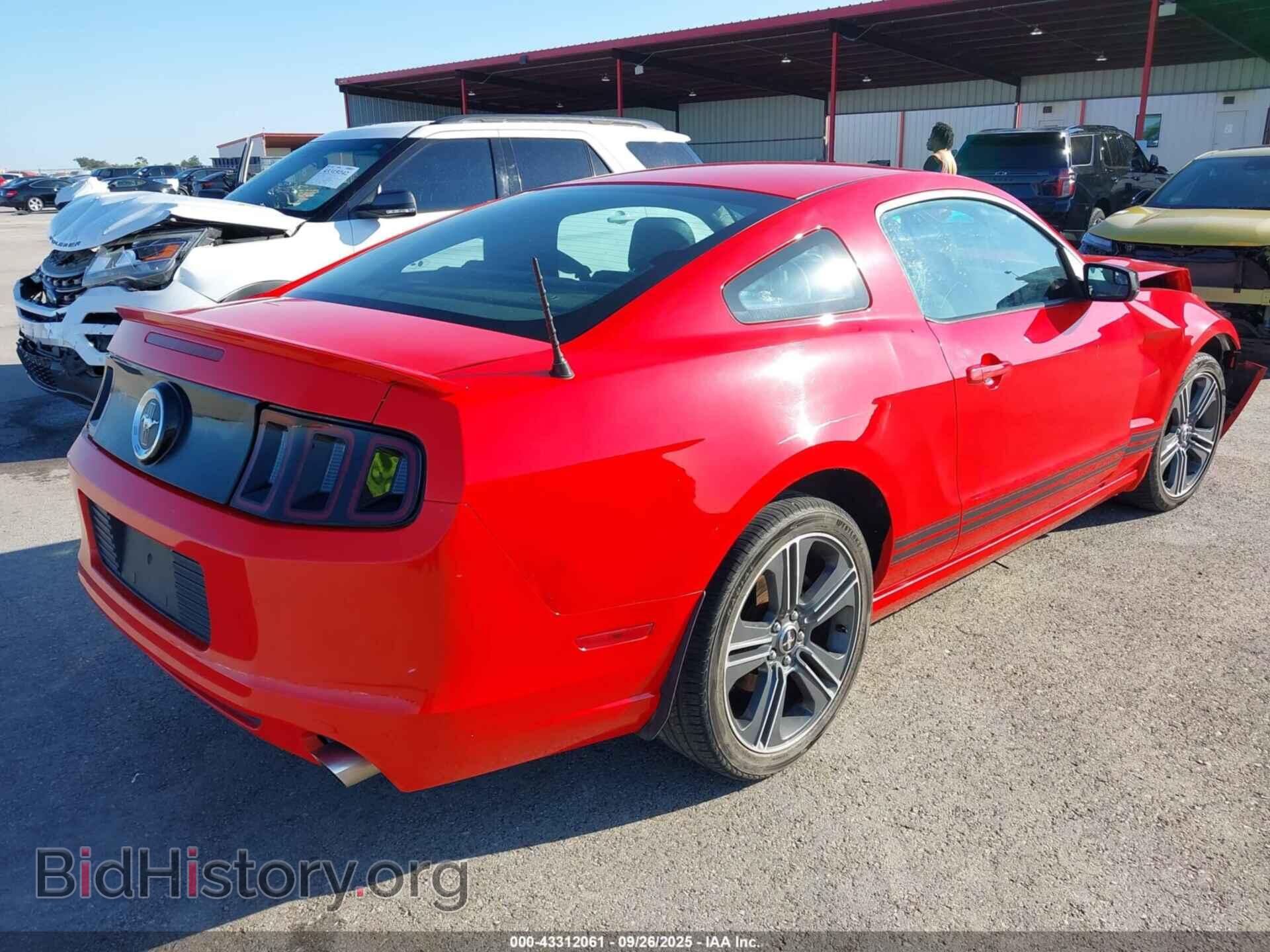 2013 FORD MUSTANG - VIN: 1ZVBP8AM8D5235661 - Фото 4