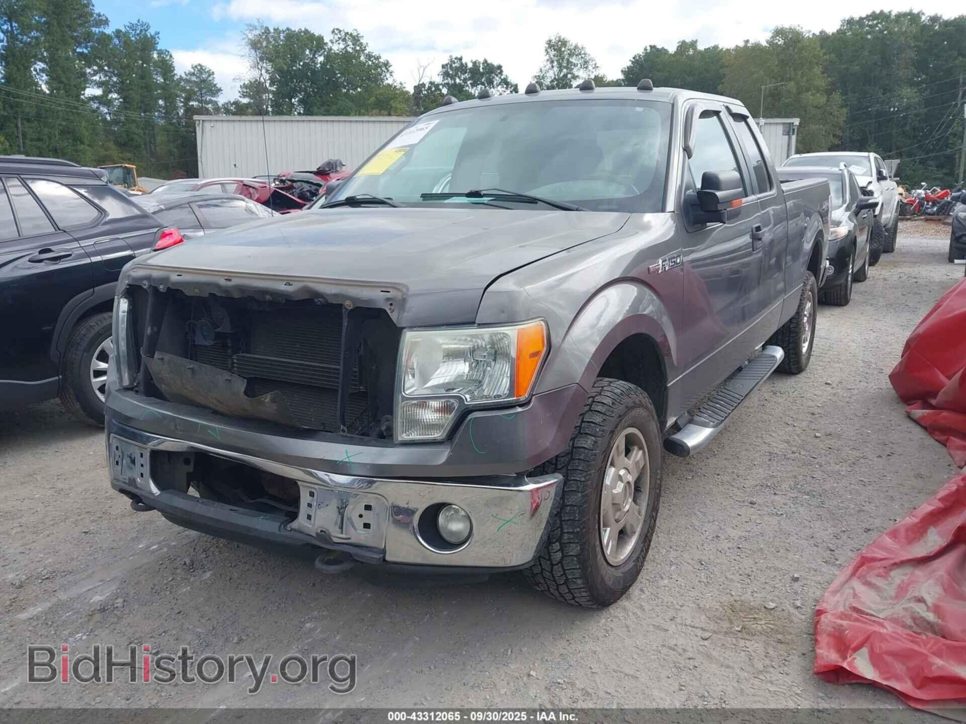 2011 FORD F-150 - VIN: 1FTFX1EF7BFA58065 - Фото 2