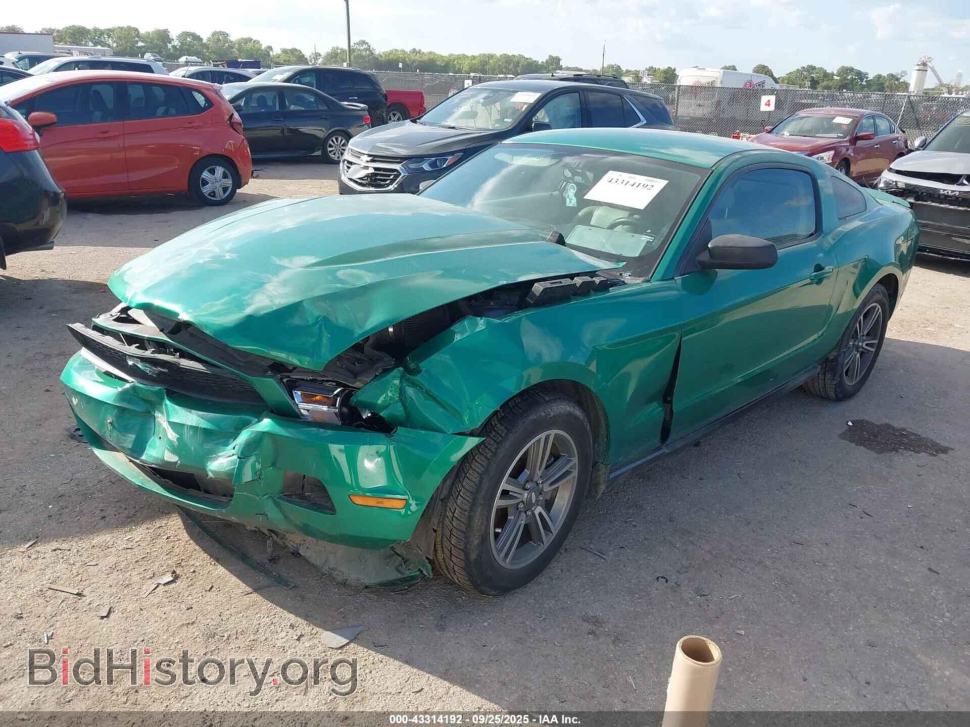 2011 FORD MUSTANG - VIN: 1ZVBP8AM8B5112665 - Фото 2