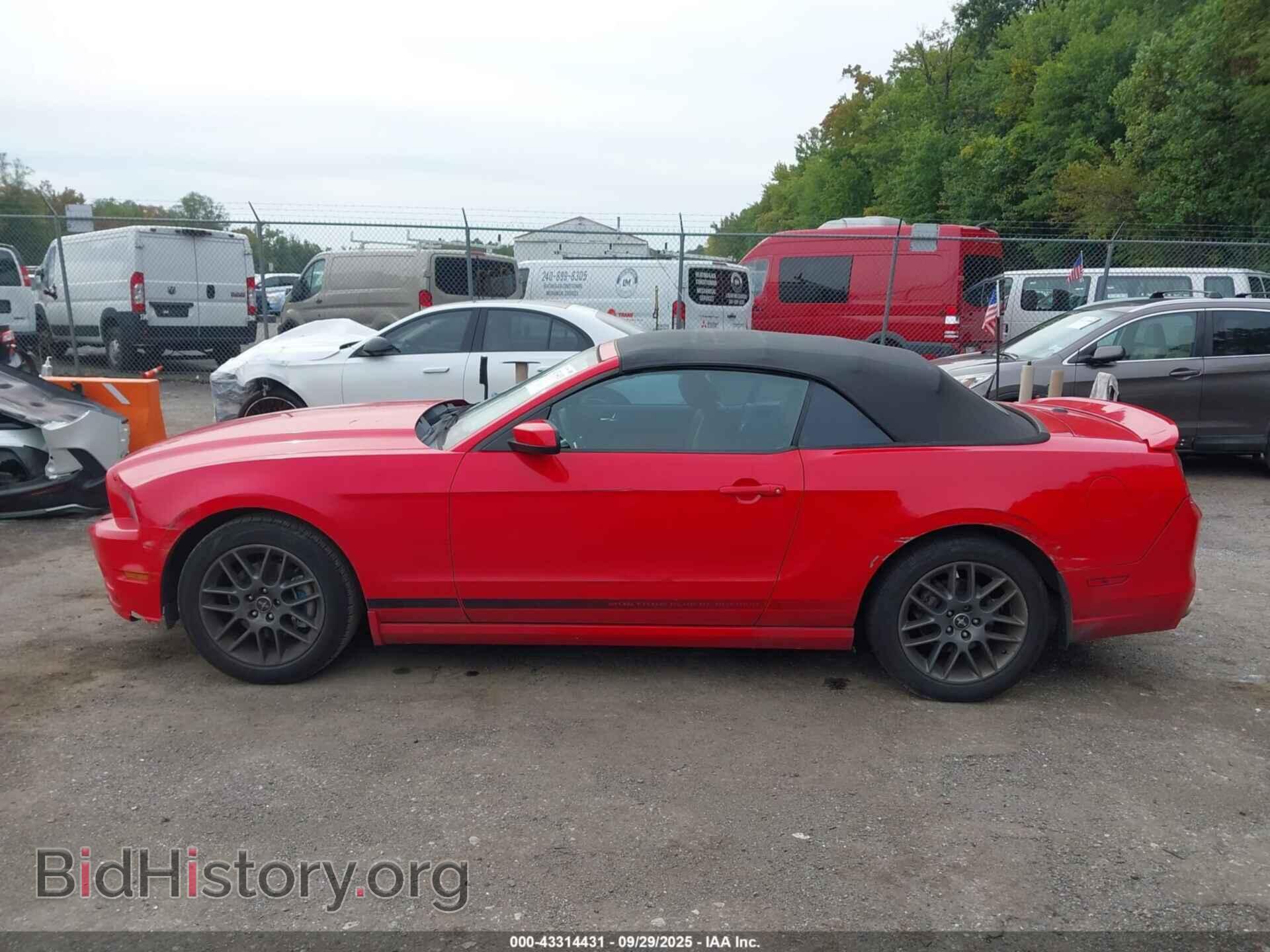 2013 FORD MUSTANG - VIN: 1ZVBP8EM5D5248961 - Фото 13