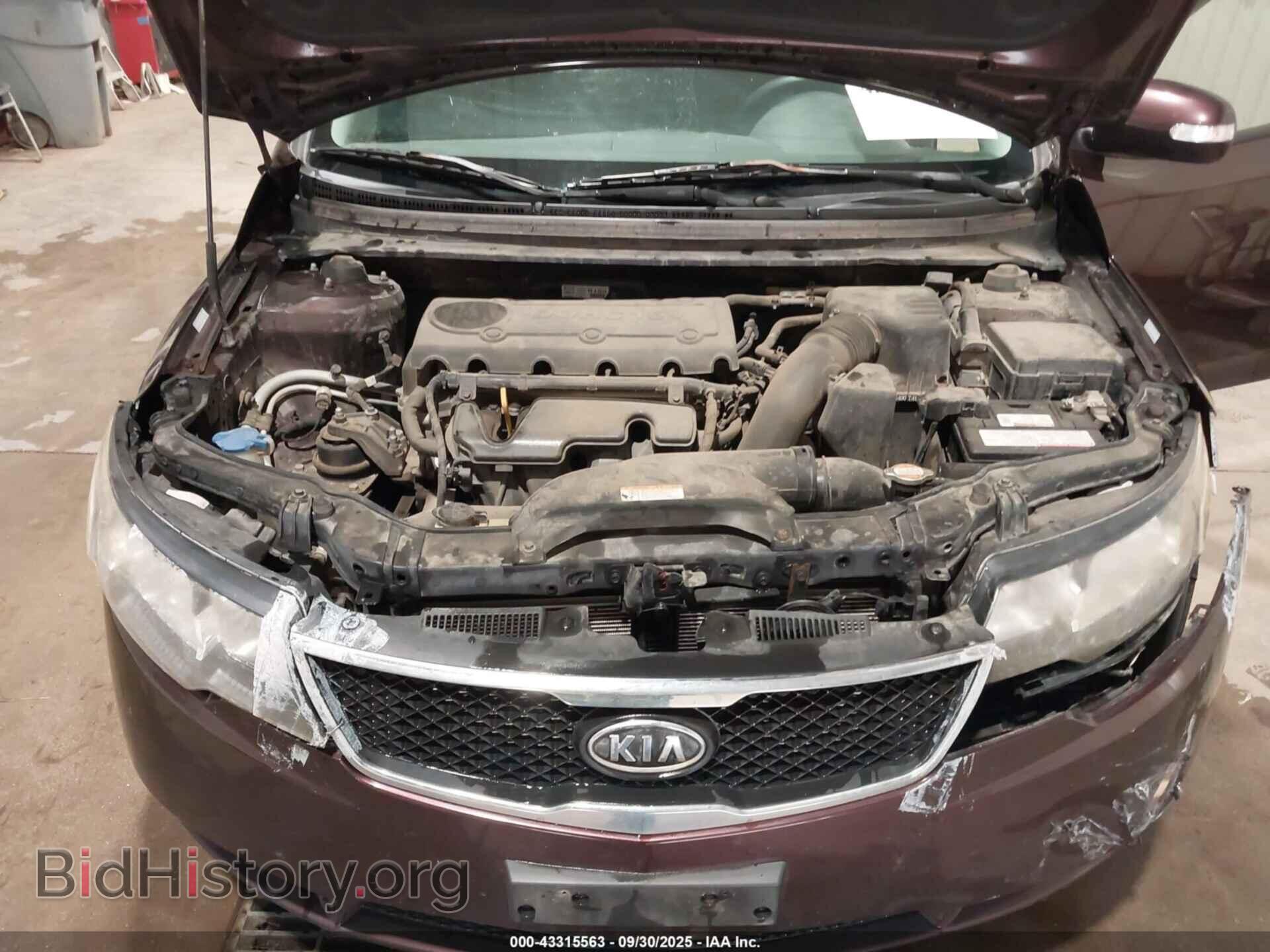 2010 KIA FORTE - VIN: KNAFU4A26A5855308 - Фото 10