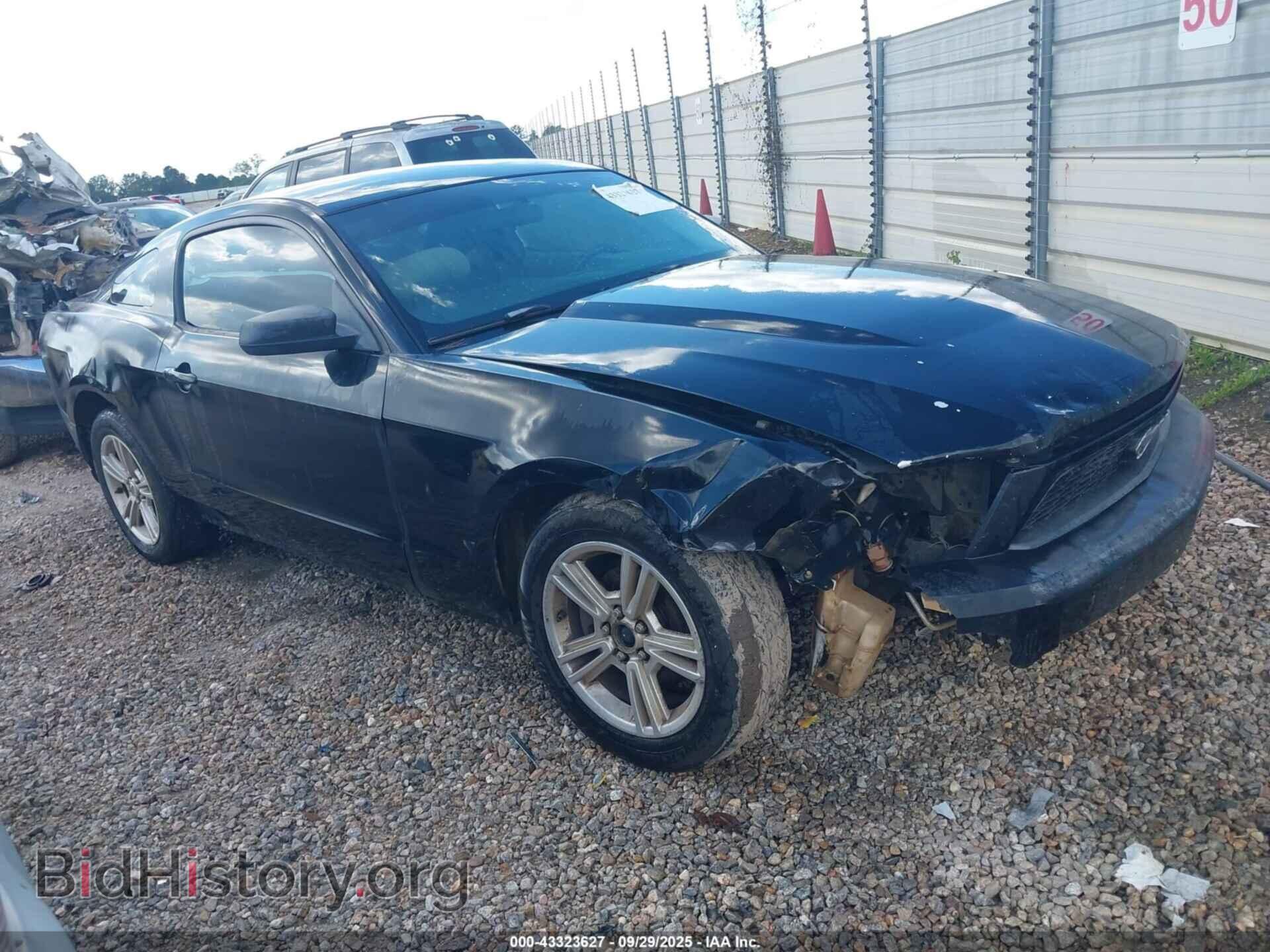 Фотография 1ZVBP8AN3A5160730 - FORD MUSTANG 2010
