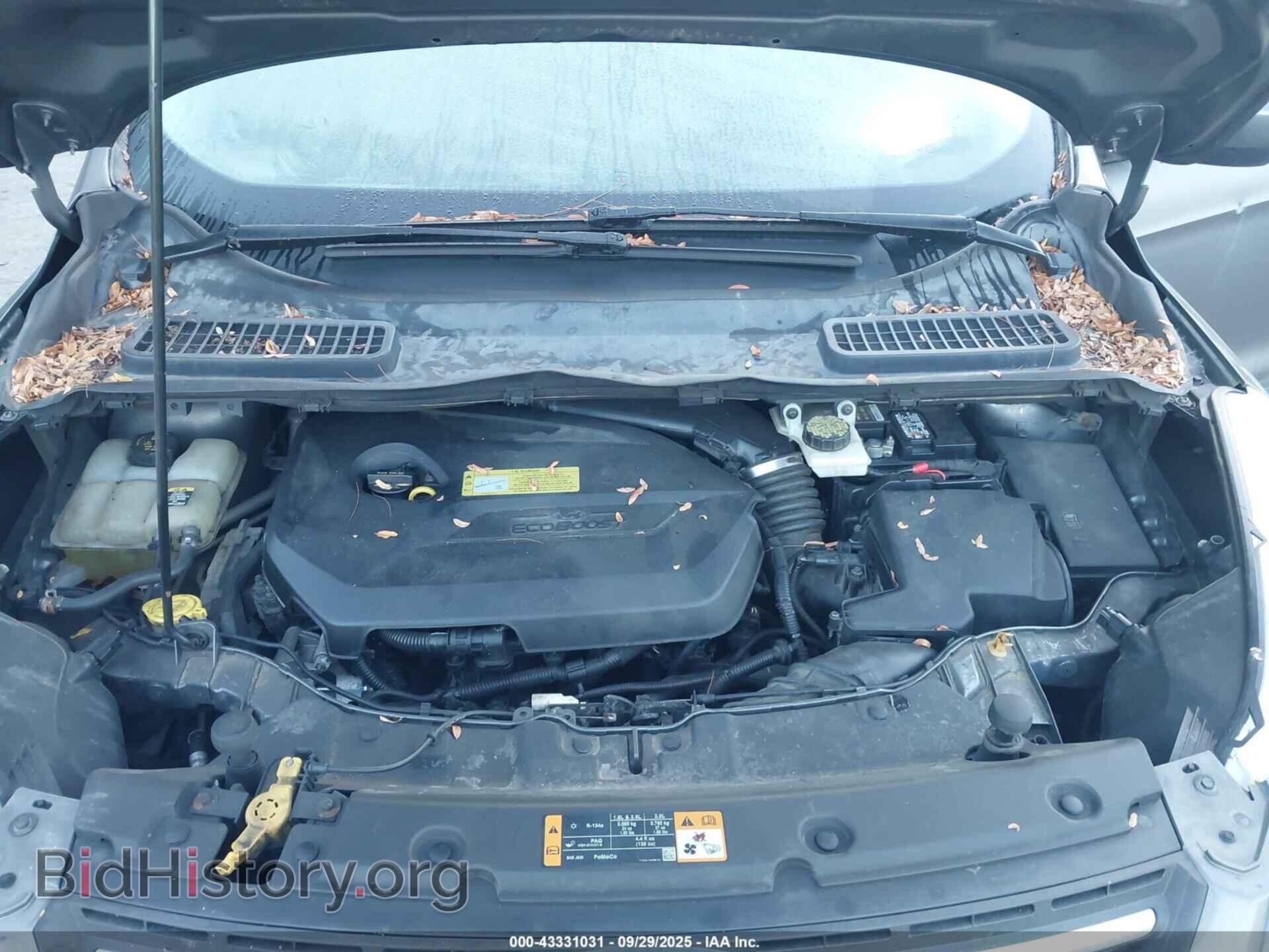 2013 FORD ESCAPE - VIN: 1FMCU0GX2DUC36549 - Фото 10