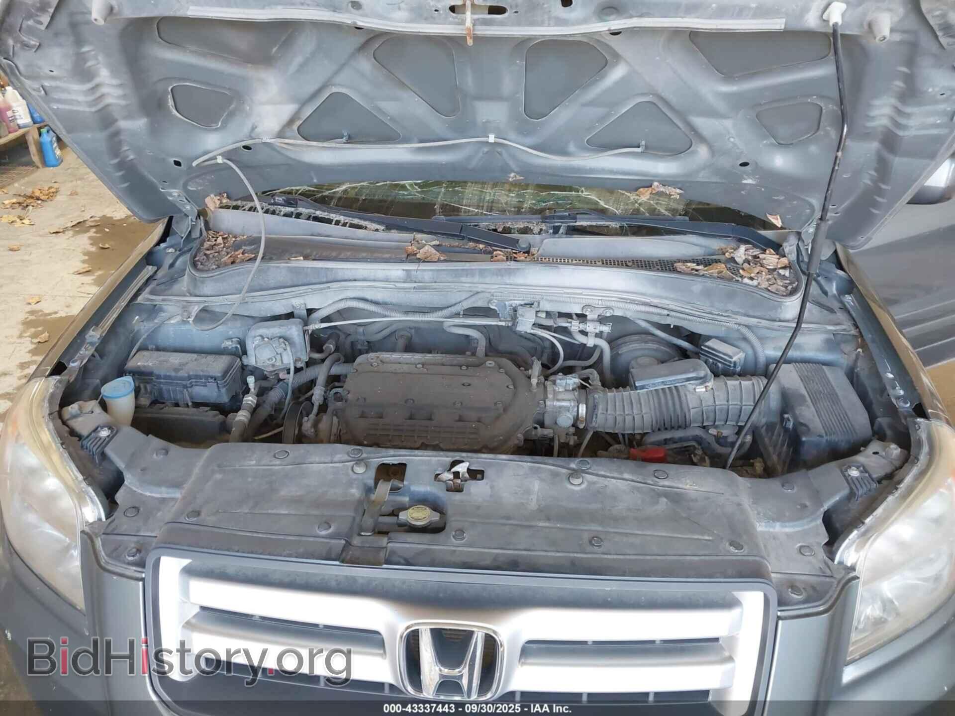 2008 HONDA PILOT - VIN: 5FNYF18668B039592 - Фото 10