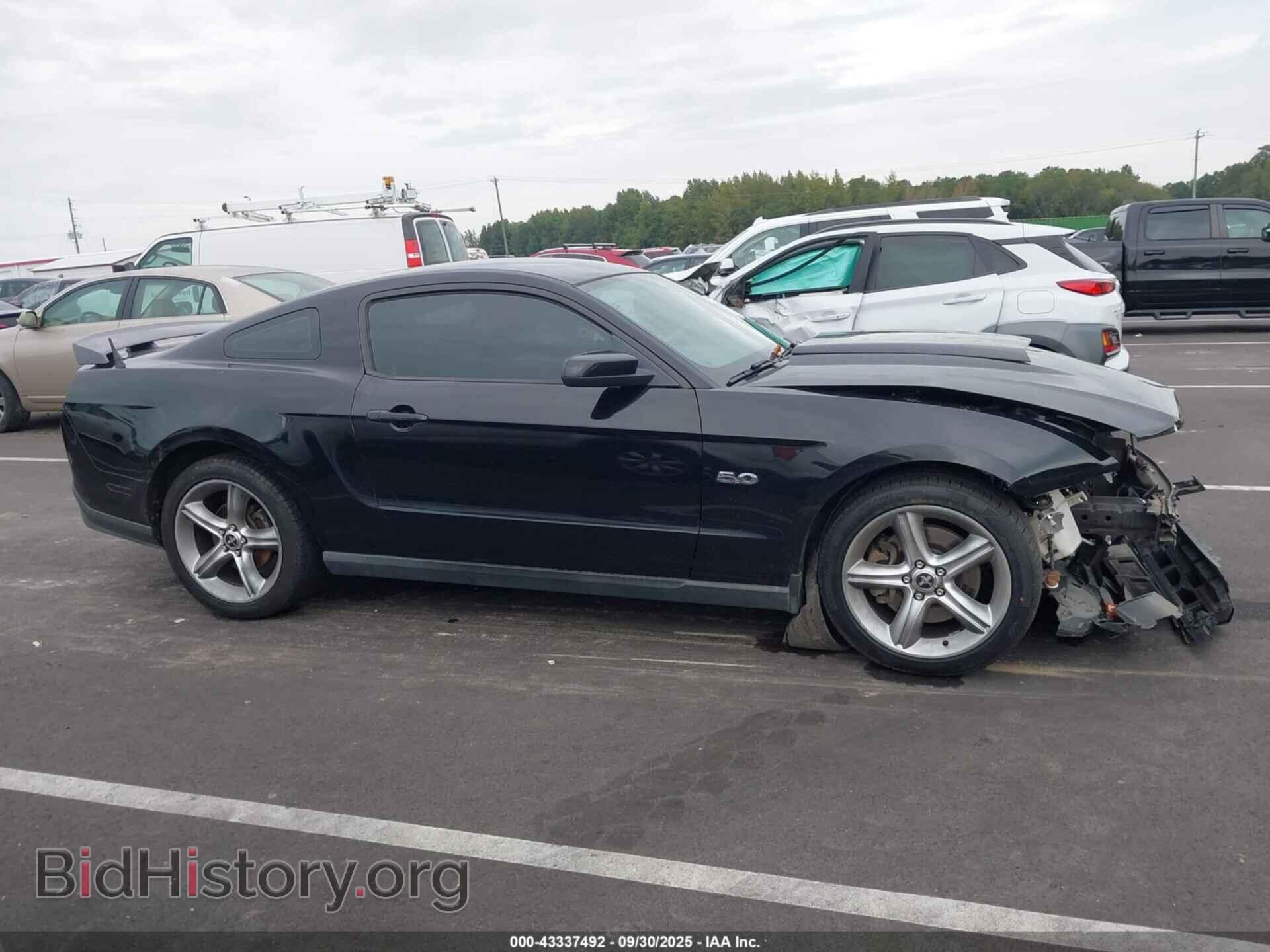 2012 FORD MUSTANG - VIN: 1ZVBP8CF1C5206080 - Фото 14