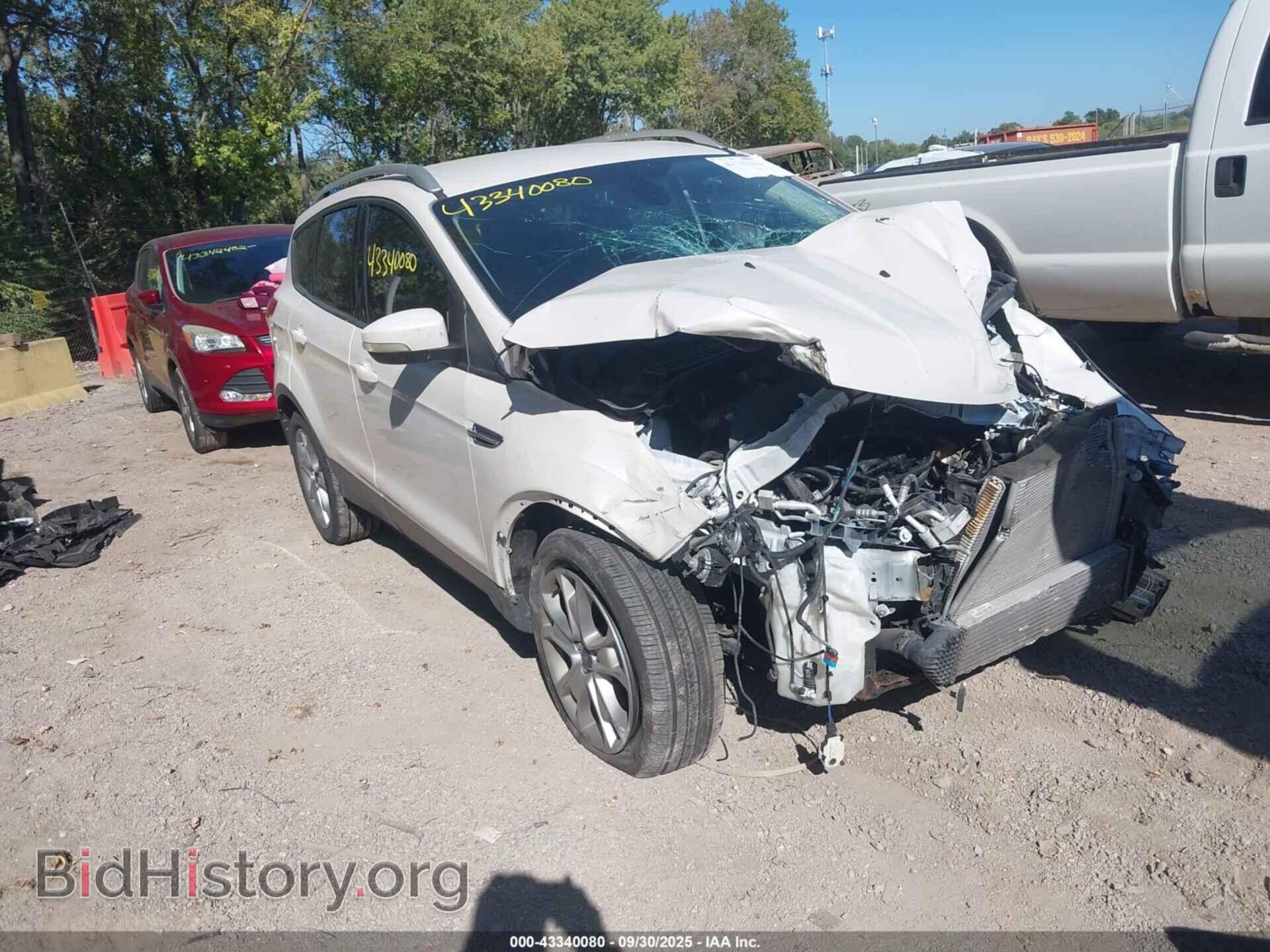 Photo 1FMCU0JX7EUB43181 - FORD ESCAPE 2014