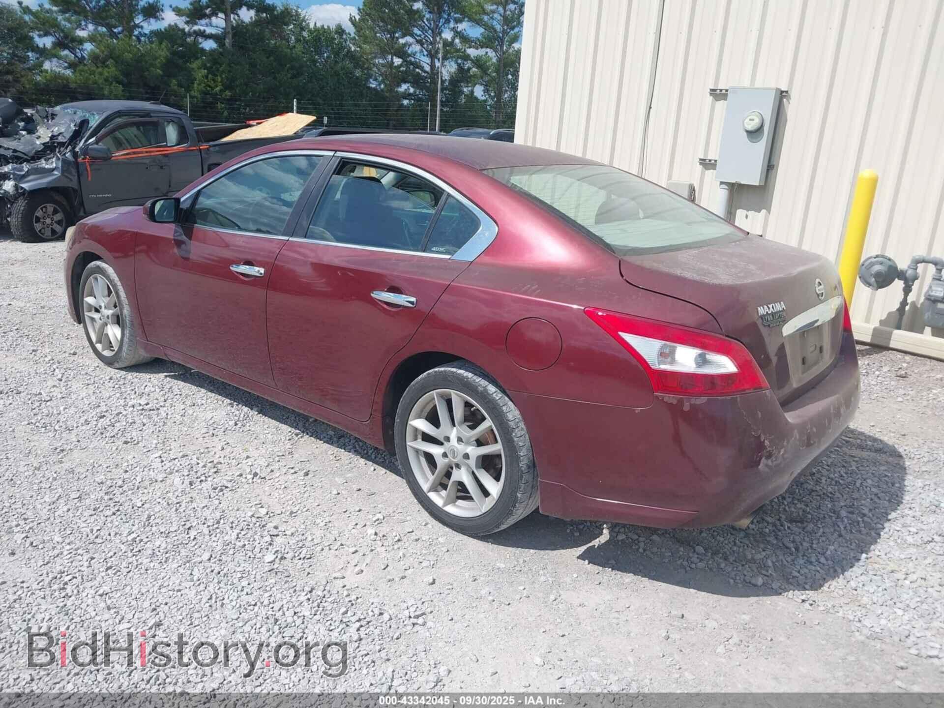 2010 NISSAN MAXIMA - VIN: 1N4AA5AP1AC828199 - Фото 3