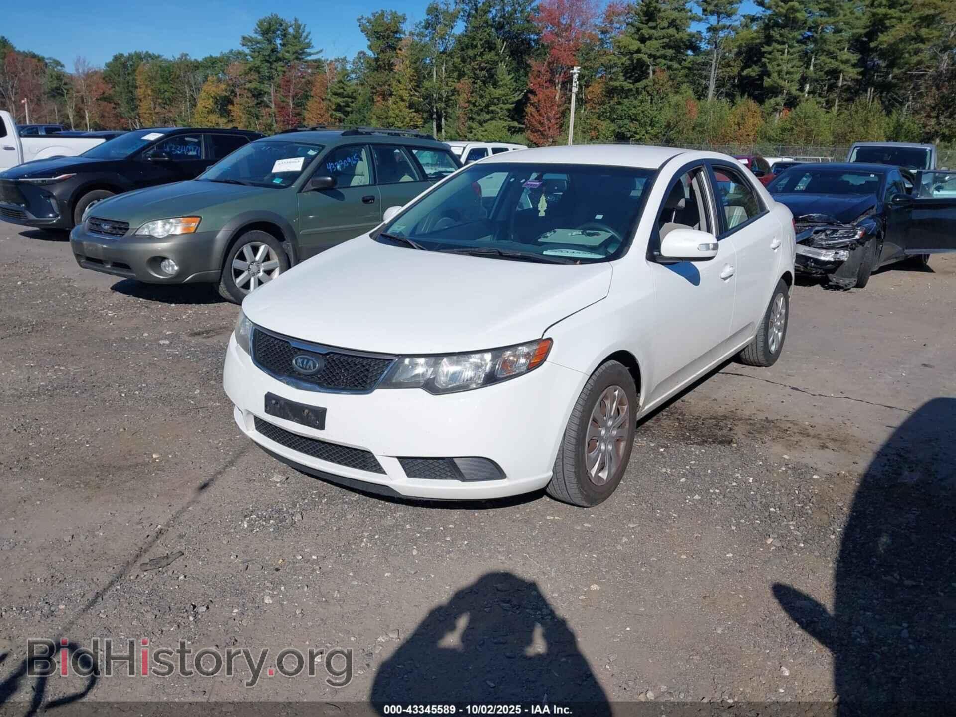 2010 KIA FORTE - VIN: KNAFU4A25A5226042 - Фото 2