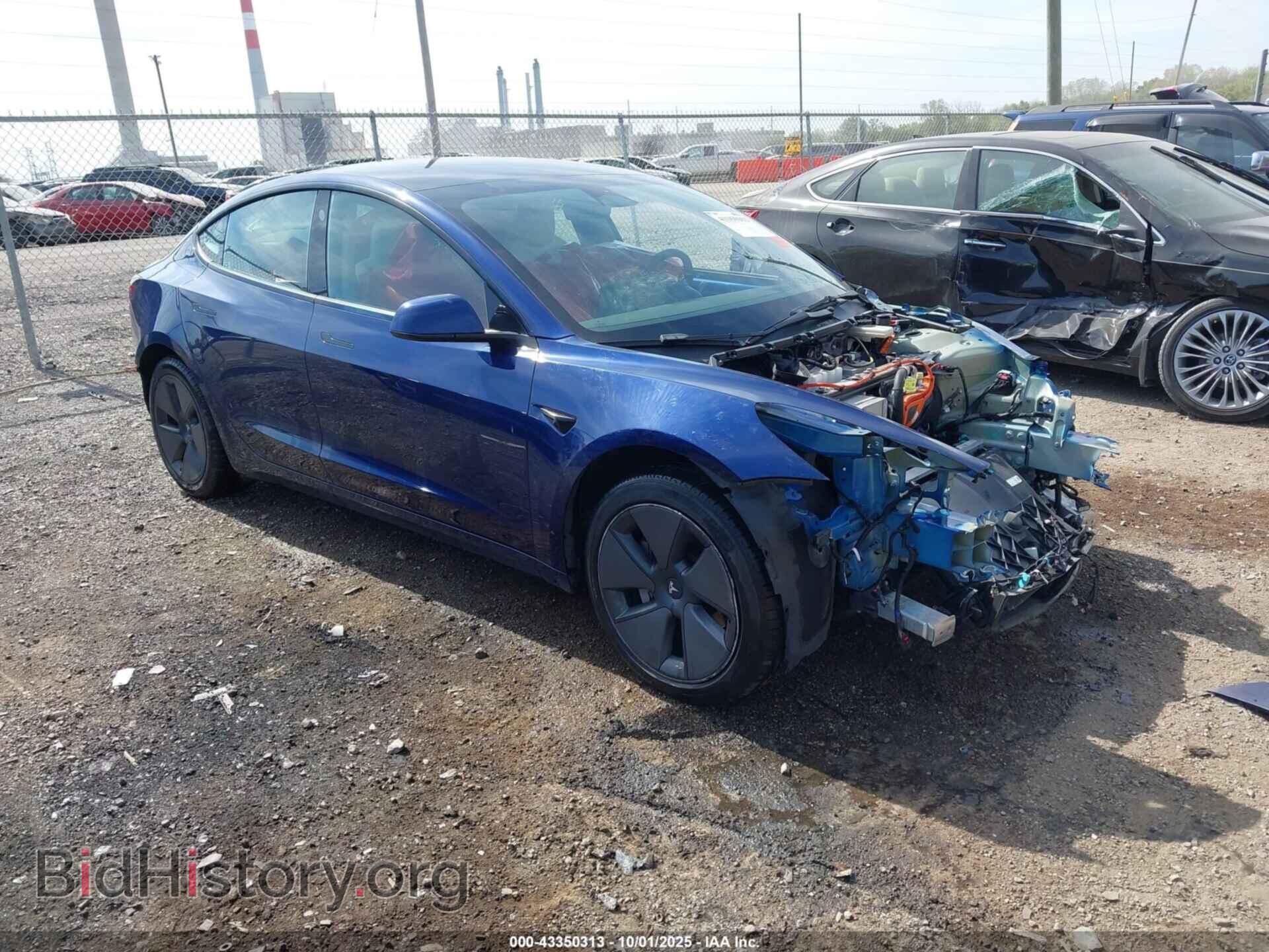Photo 5YJ3E1EA6PF497377 - TESLA MODEL 3 2023