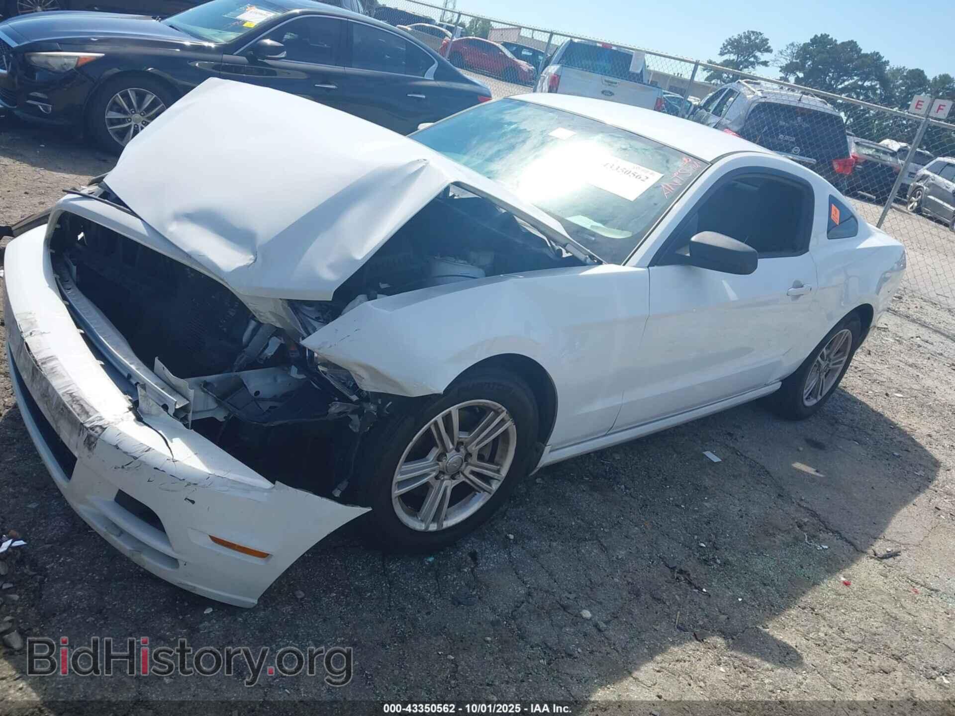2014 FORD MUSTANG - VIN: 1ZVBP8AM8E5286949 - Фото 2
