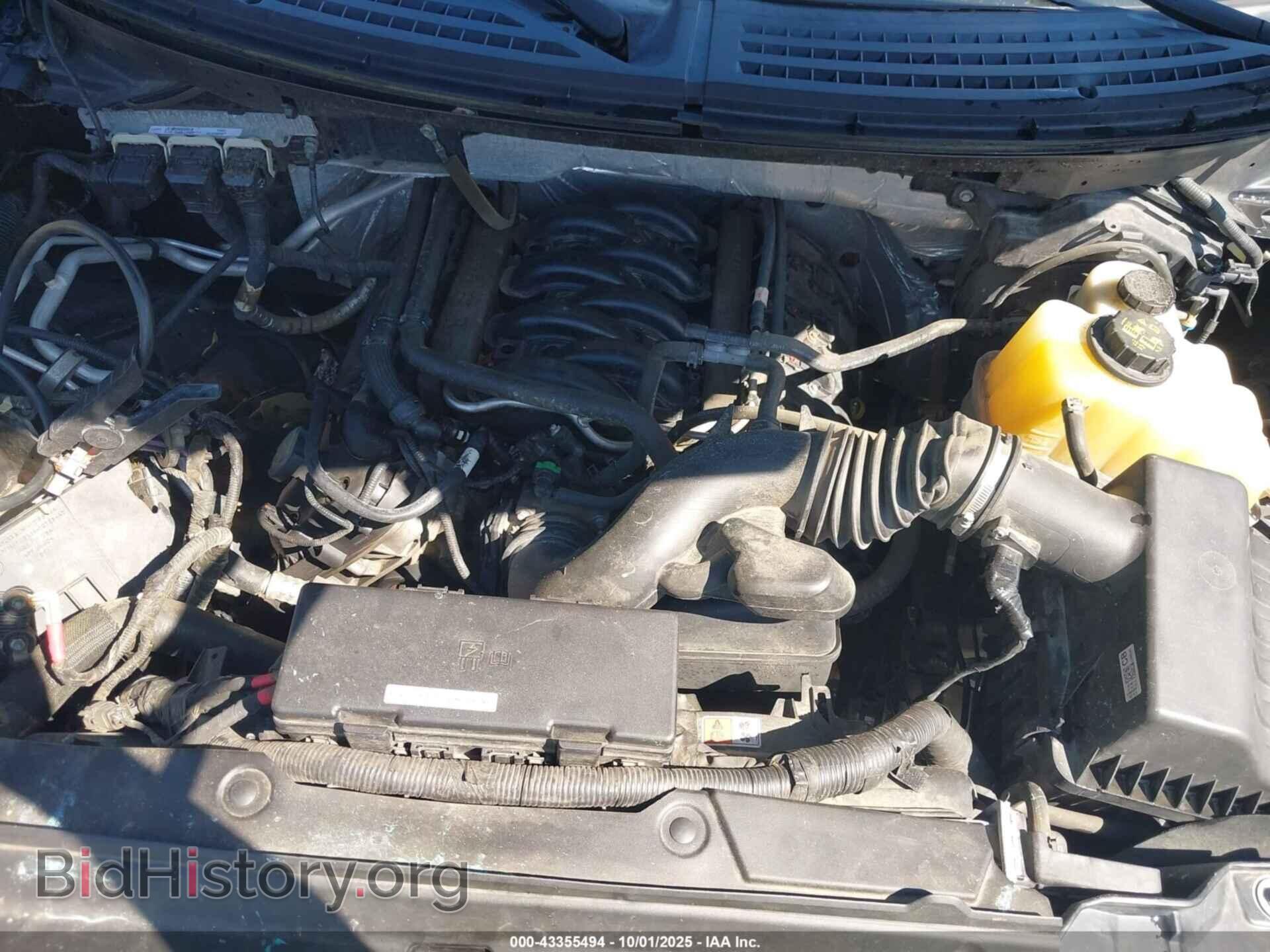 2013 FORD F-150 - VIN: 1FTFX1EF3DFD16780 - Фото 10