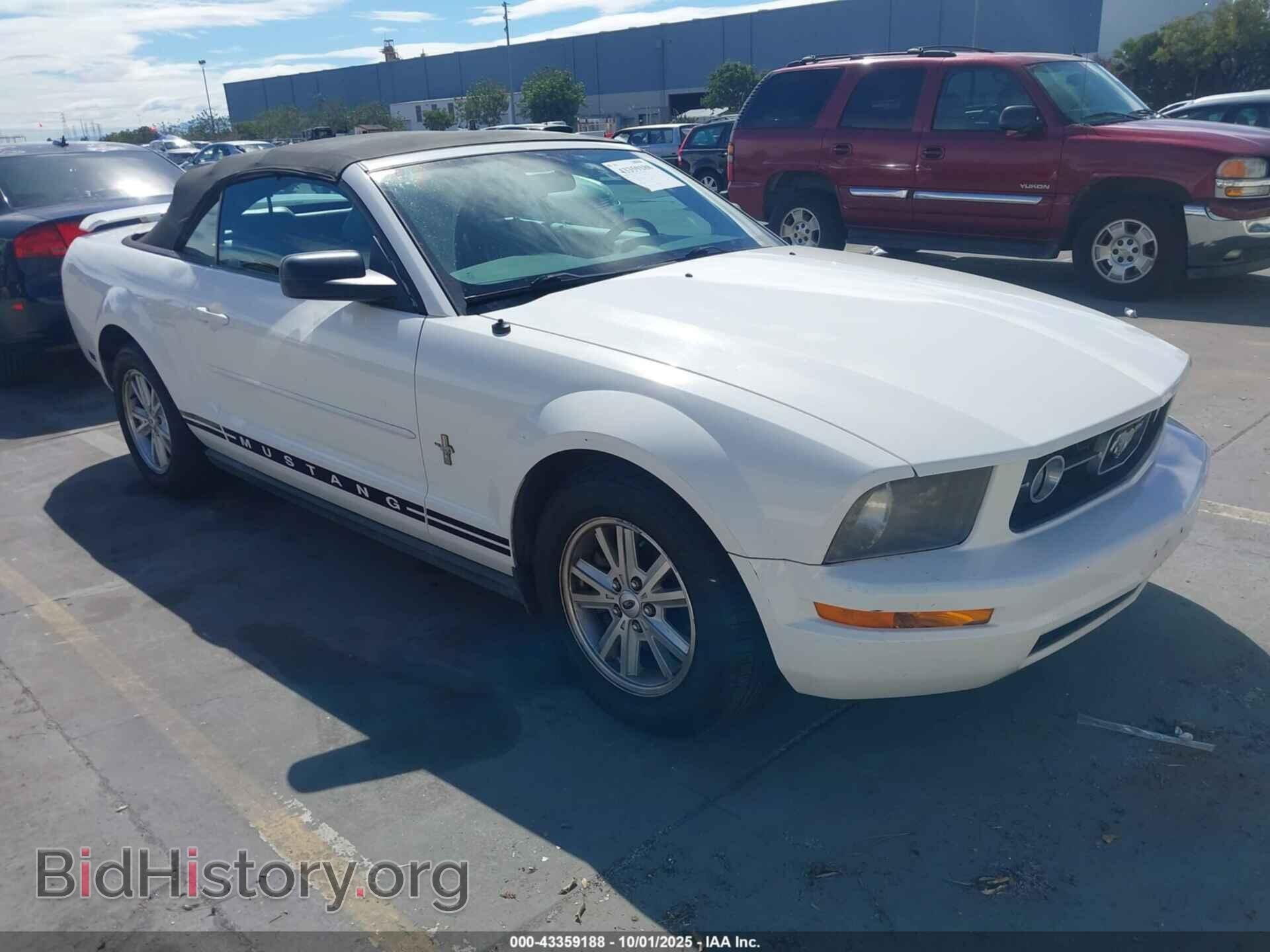 Photo 1ZVFT84N165217670 - FORD MUSTANG 2006