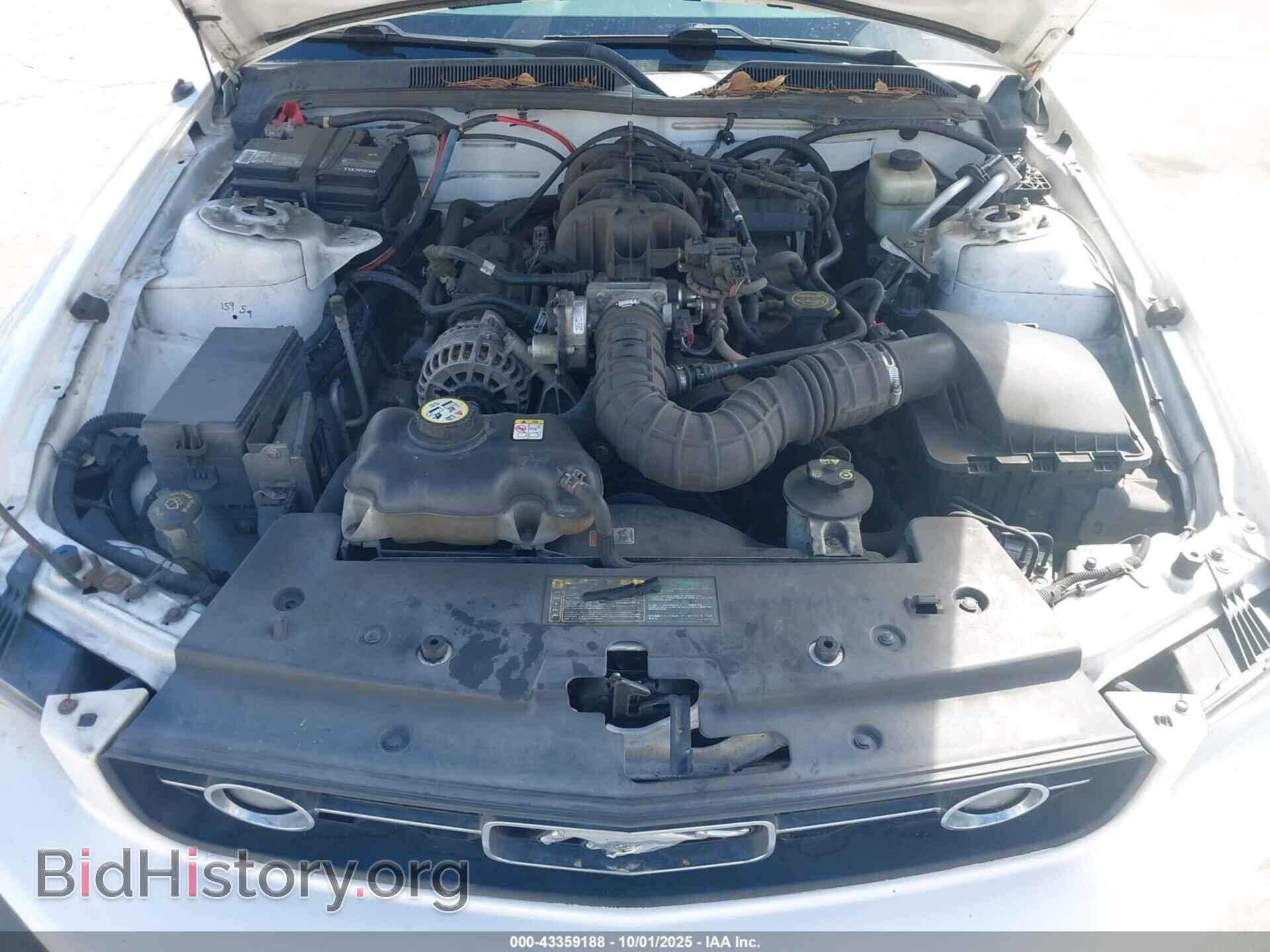 2006 FORD MUSTANG - VIN: 1ZVFT84N165217670 - Фото 10
