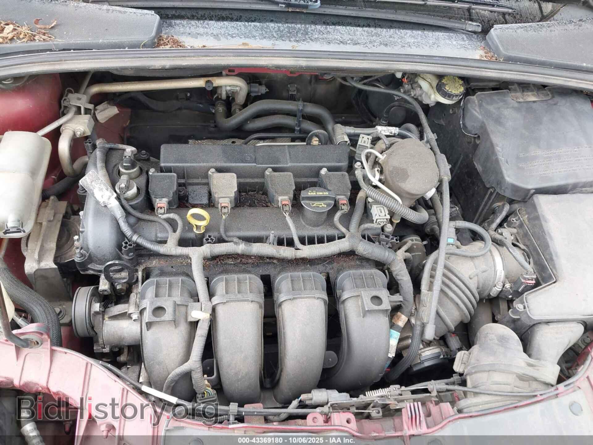 2013 FORD FOCUS - VIN: 1FADP3N23DL274828 - Фото 10