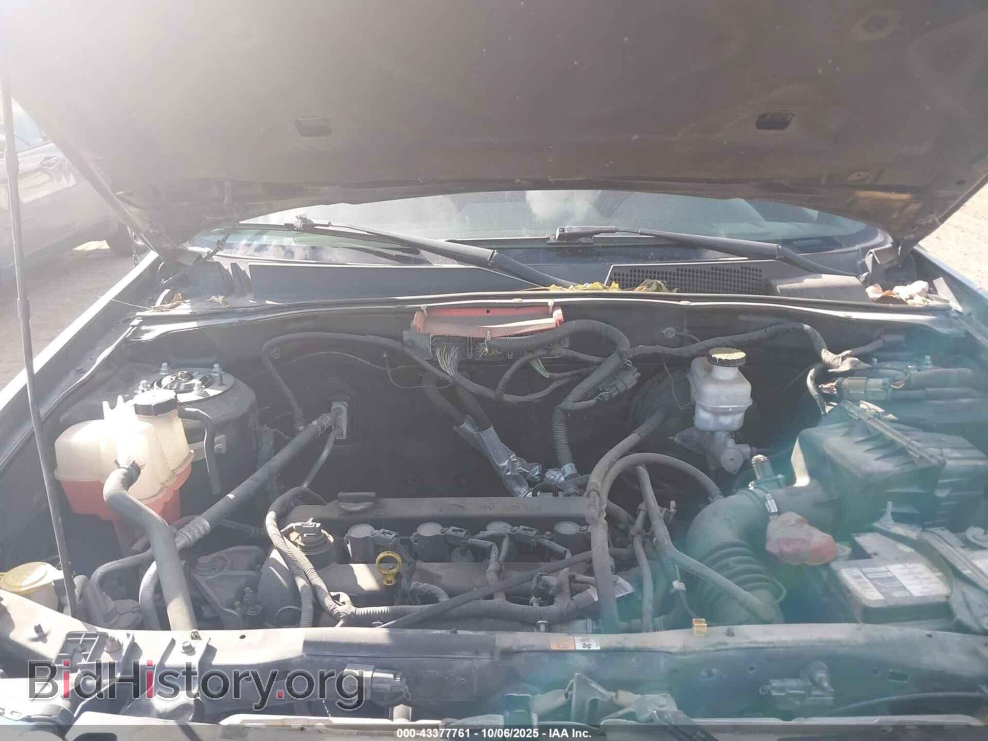 2011 FORD ESCAPE - VIN: 1FMCU0D71BKC45093 - Фото 10