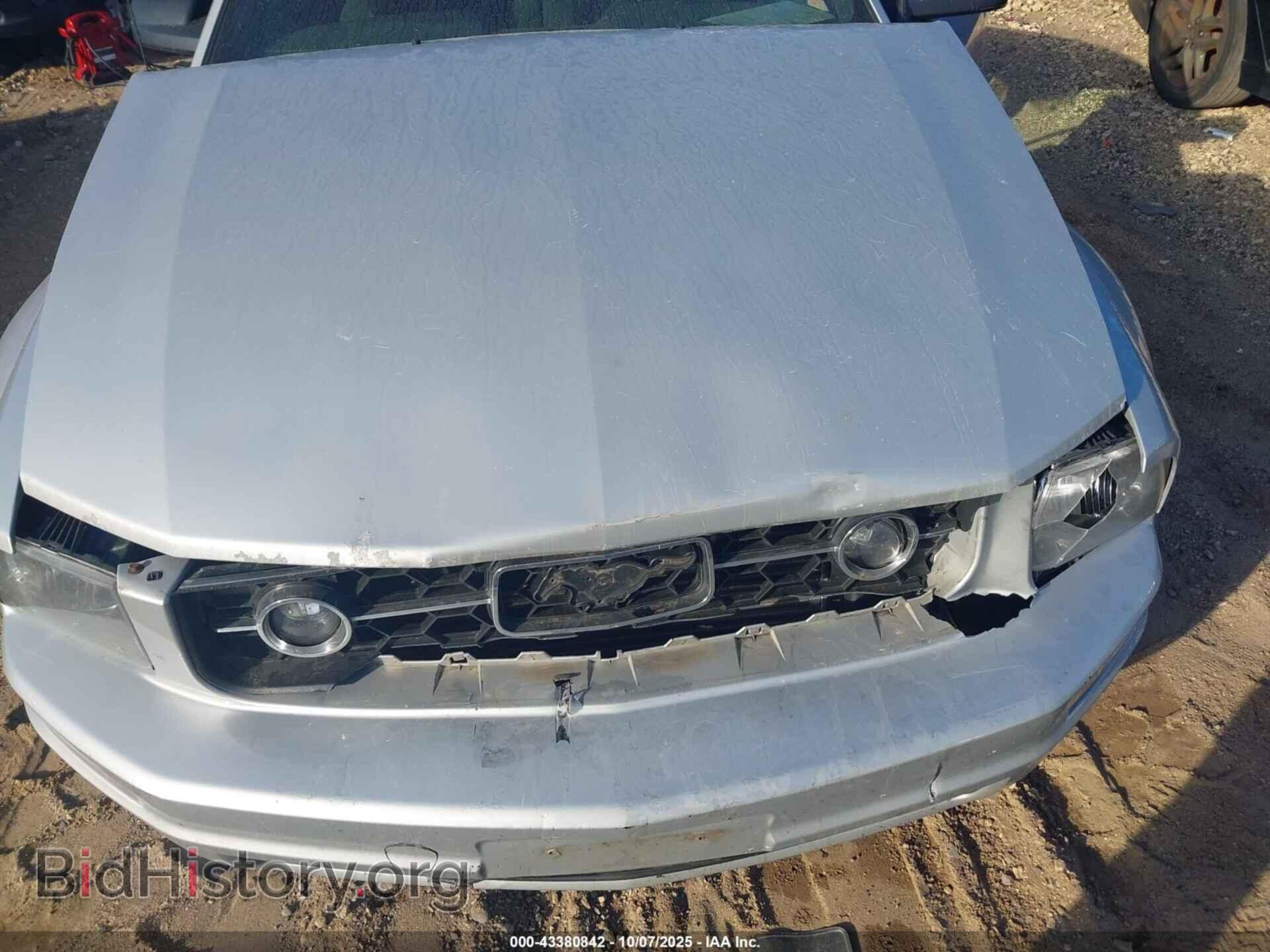 2006 FORD MUSTANG - VIN: 1ZVFT80N765250551 - Фото 6