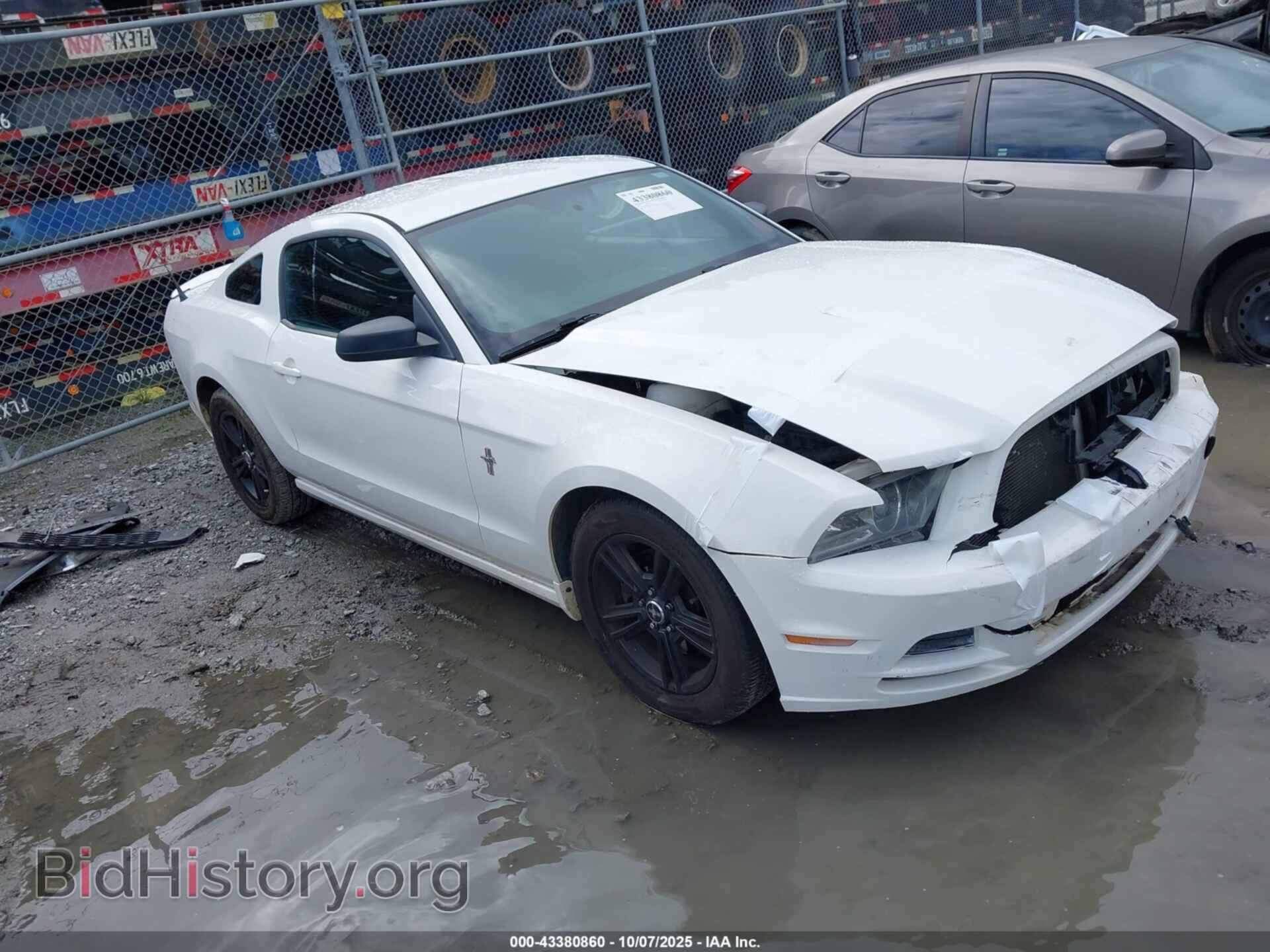 Фотография 1ZVBP8AM2D5267215 - FORD MUSTANG 2013