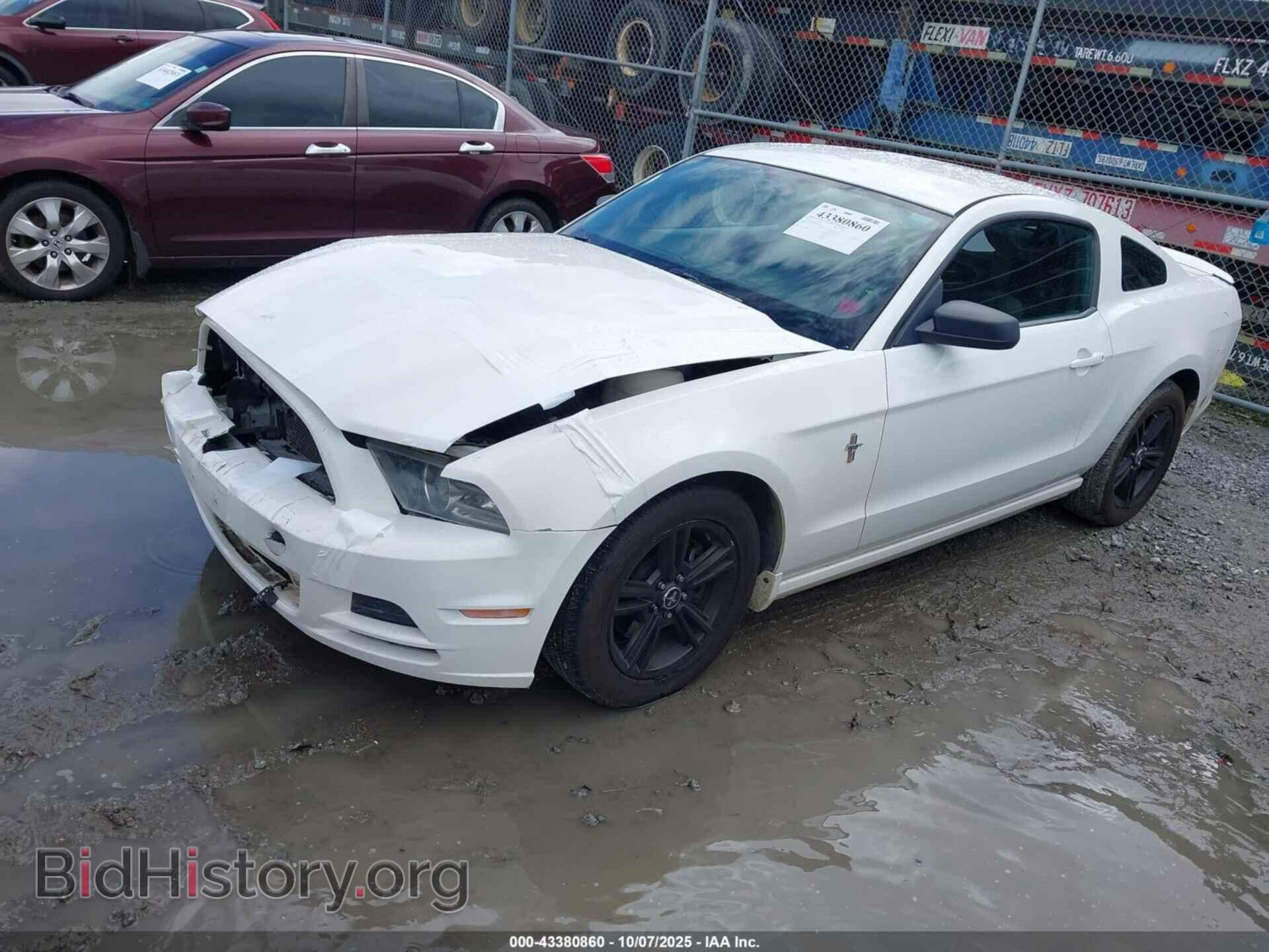 2013 FORD MUSTANG - VIN: 1ZVBP8AM2D5267215 - Фото 2