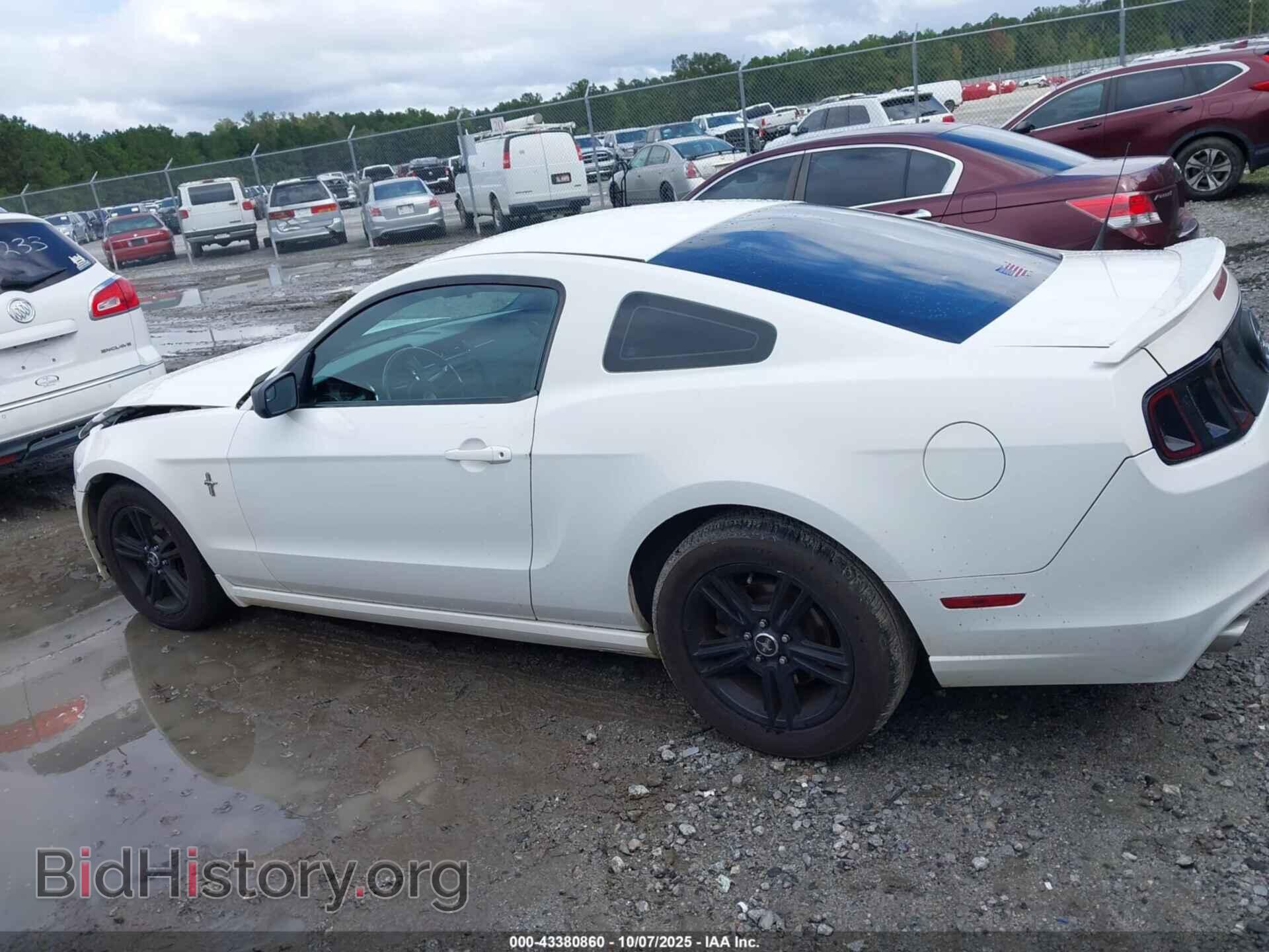 2013 FORD MUSTANG - VIN: 1ZVBP8AM2D5267215 - Фото 14