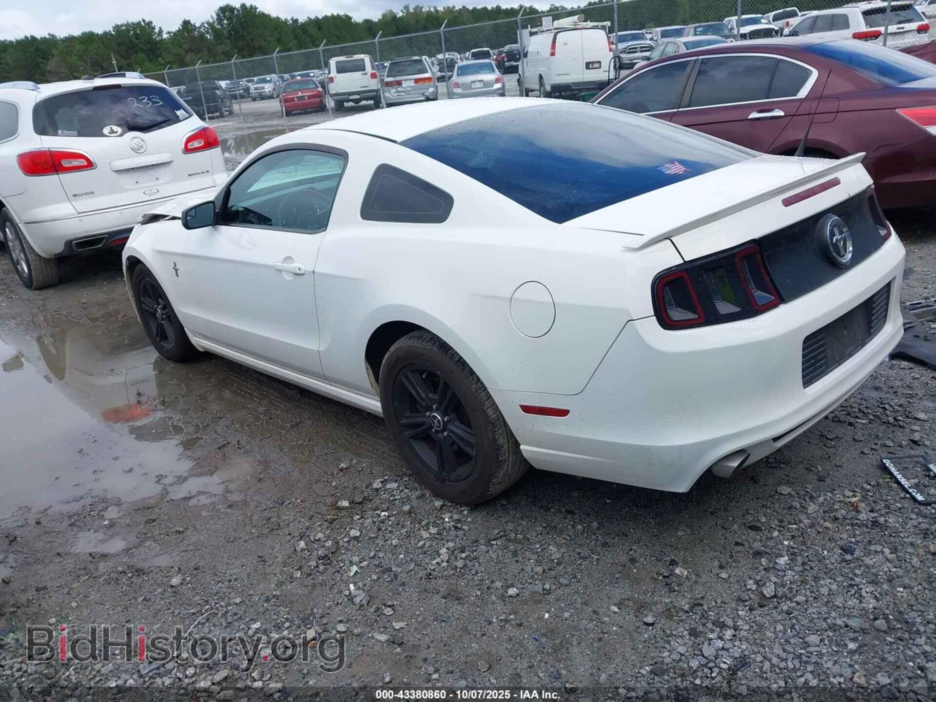 2013 FORD MUSTANG - VIN: 1ZVBP8AM2D5267215 - Фото 3