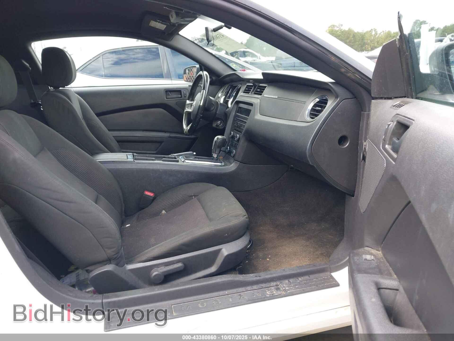 2013 FORD MUSTANG - VIN: 1ZVBP8AM2D5267215 - Фото 5