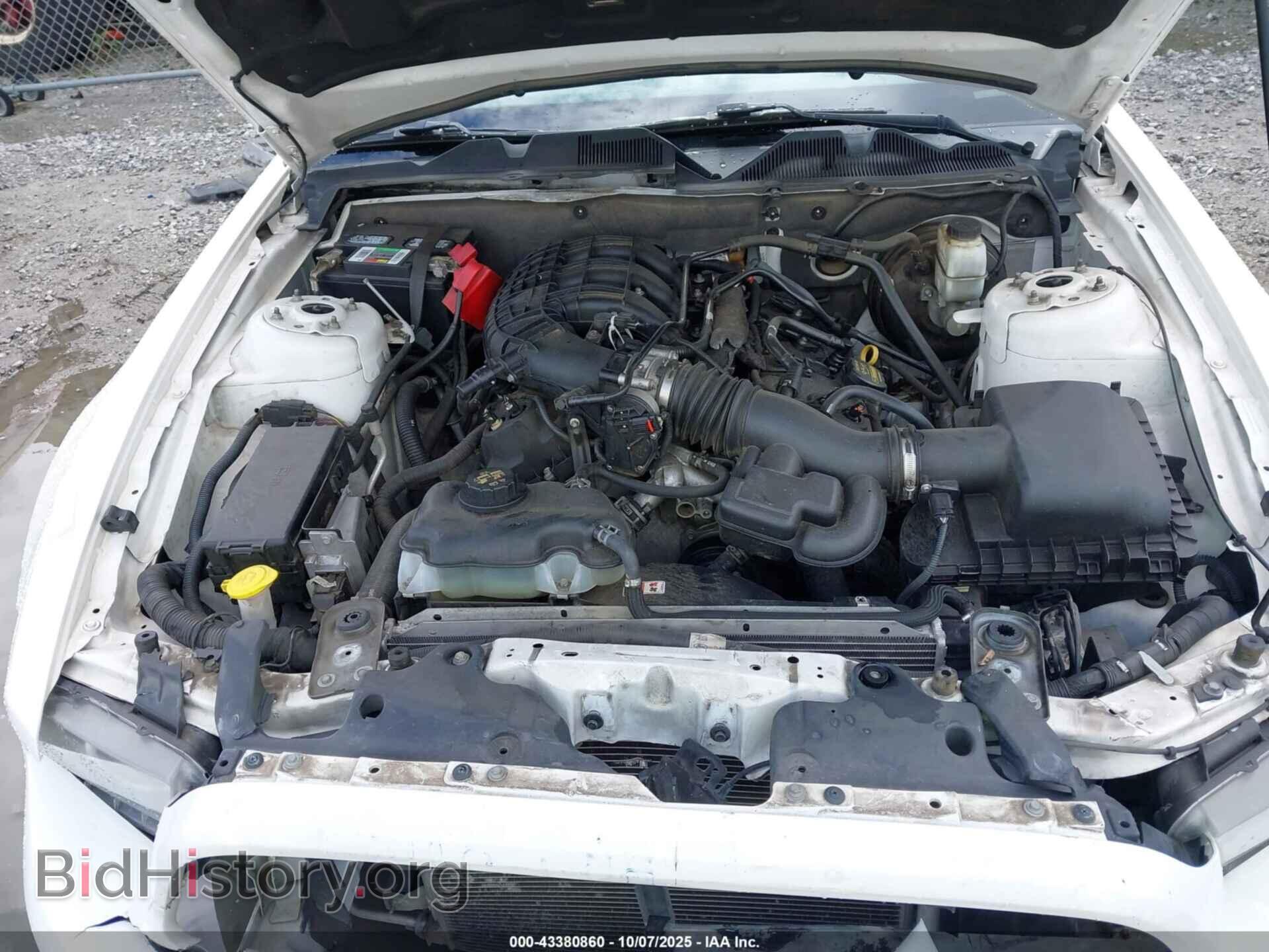 2013 FORD MUSTANG - VIN: 1ZVBP8AM2D5267215 - Фото 10