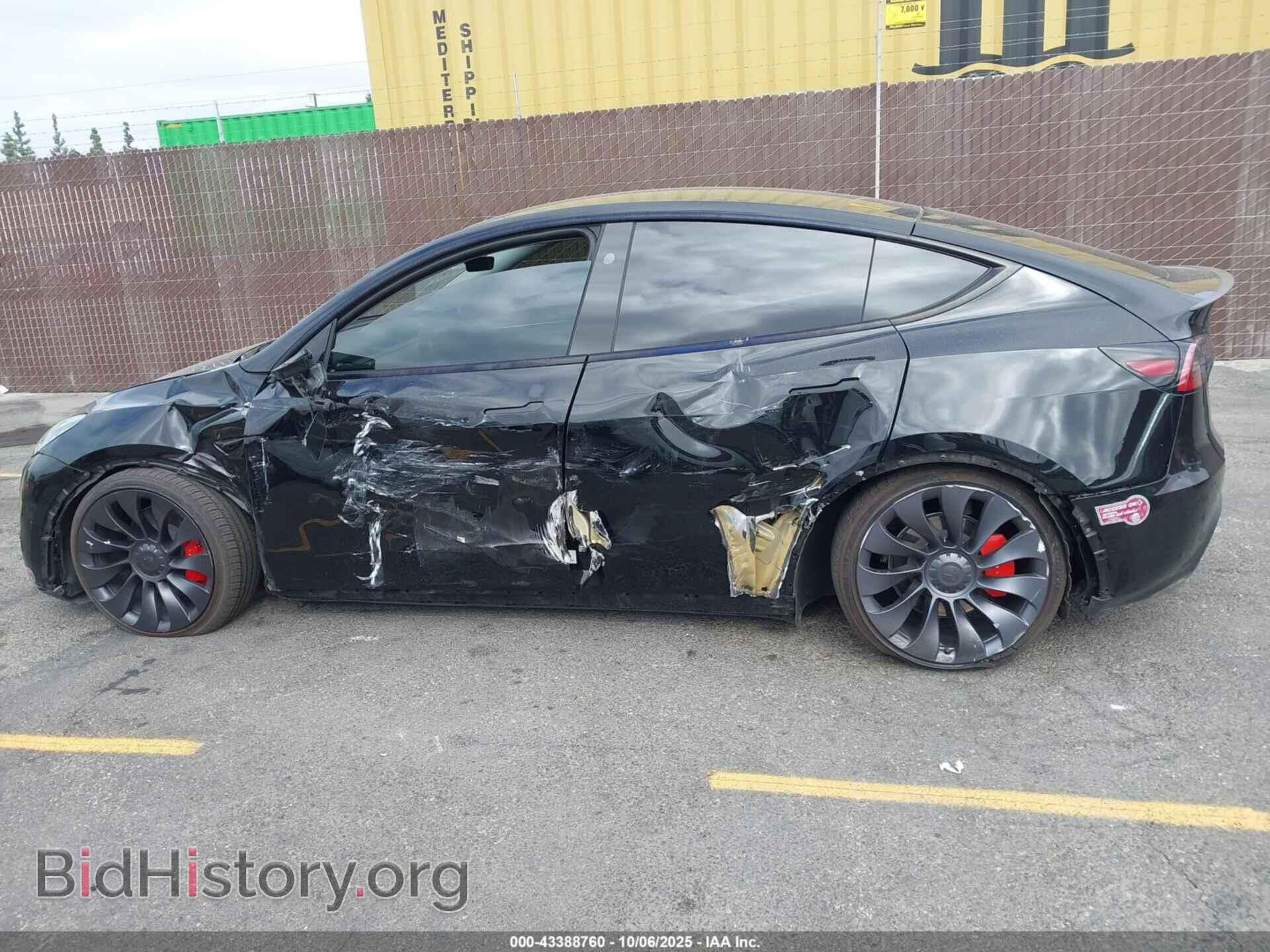 2024 TESLA MODEL Y - VIN: 7SAYGDEF9RF046589 - Фото 14