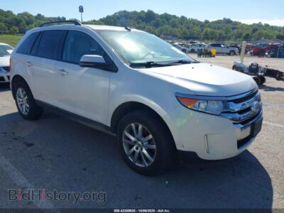 2013 Ford EDGE SEL, белый — VIN 2FMDK4JC8DBB86365, IAAI
