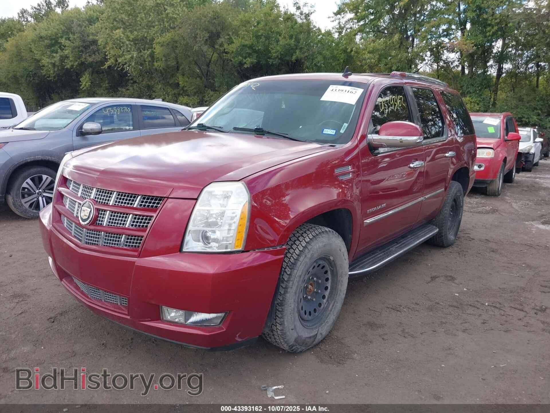 2010 CADILLAC ESCALADE - VIN: 1GYUKBEF5AR111462 - Фото 2